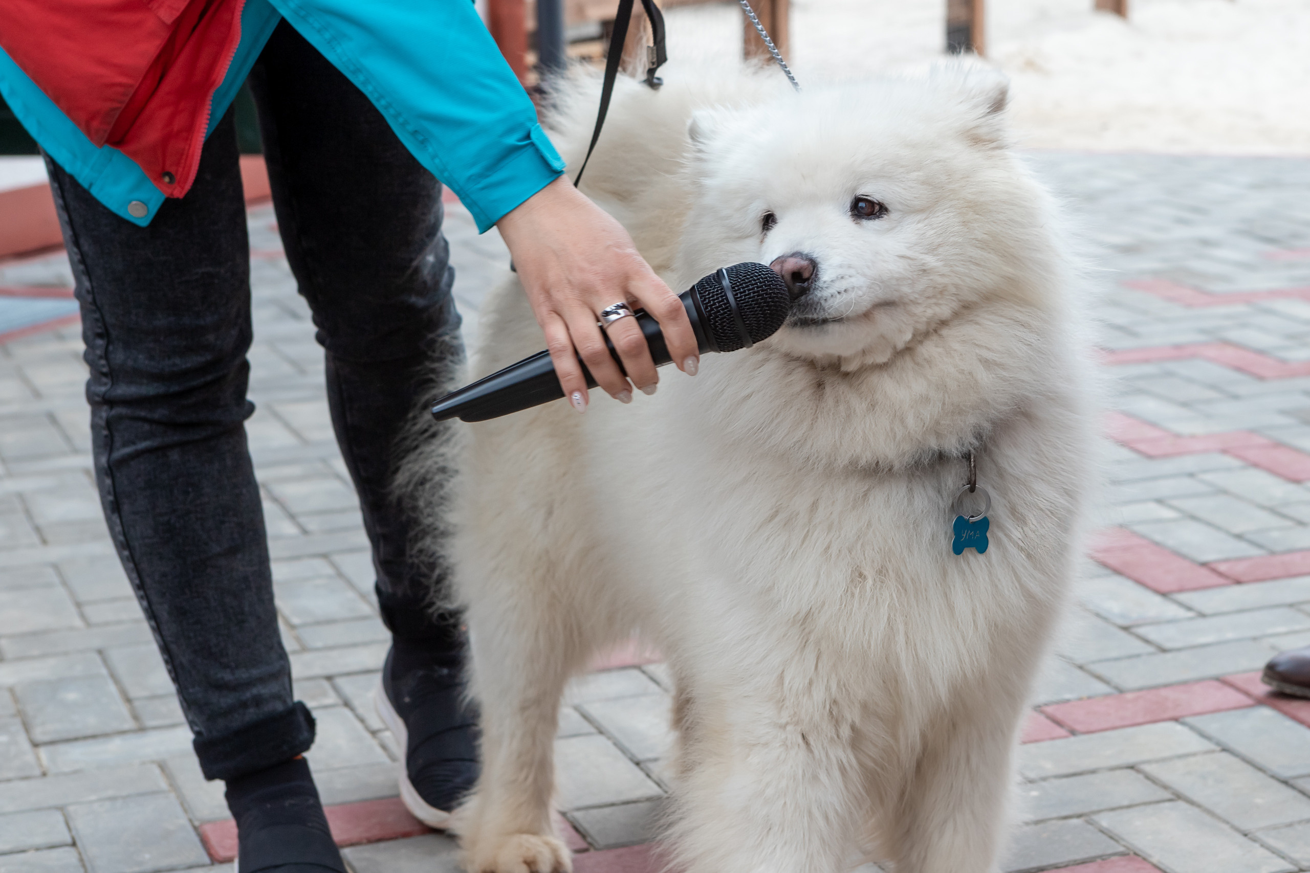 Открытие парка ездовых собак «Ошка», 11 мая 2023. Марк Шишкин — репортажный фотограф в Воронеже и России