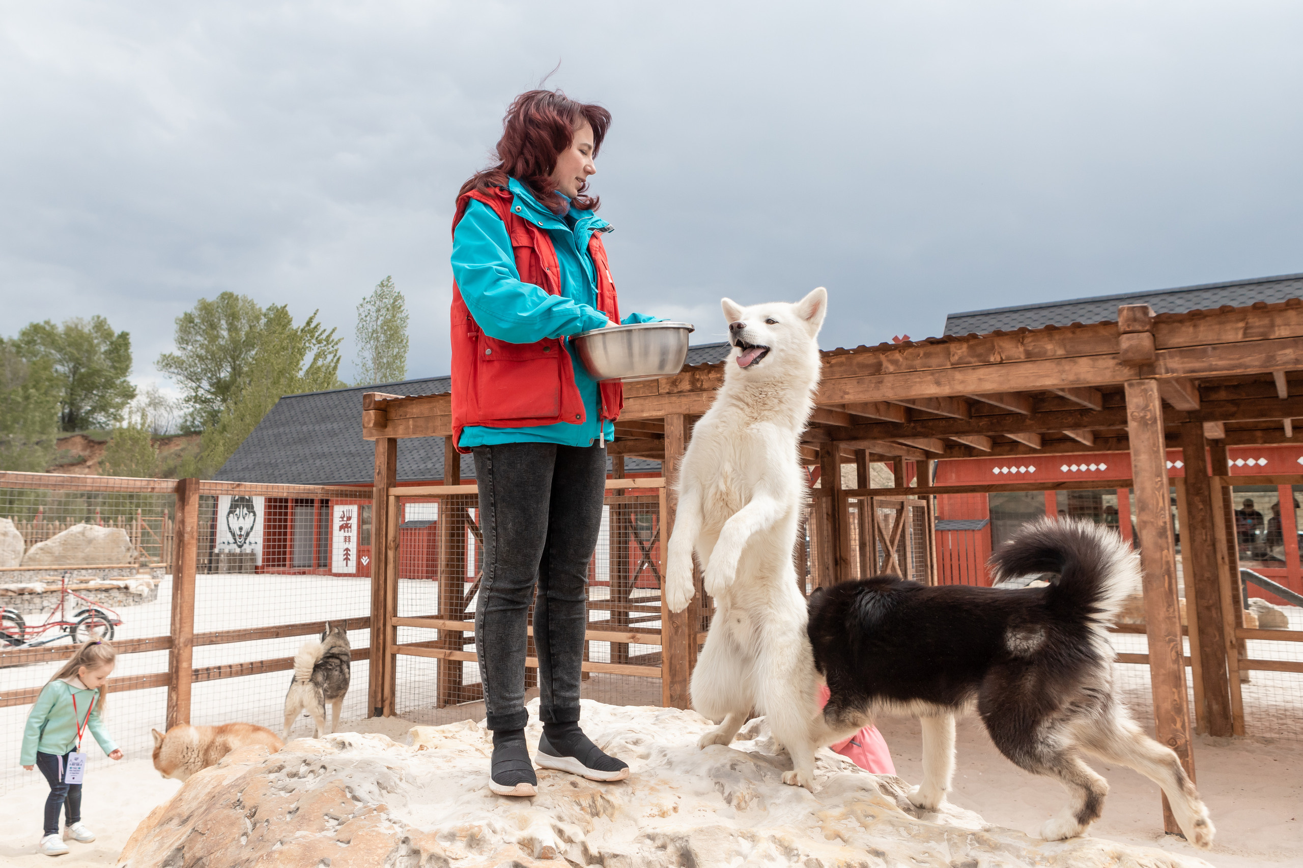 Открытие парка ездовых собак «Ошка», 11 мая 2023. Марк Шишкин — репортажный фотограф в Воронеже и России