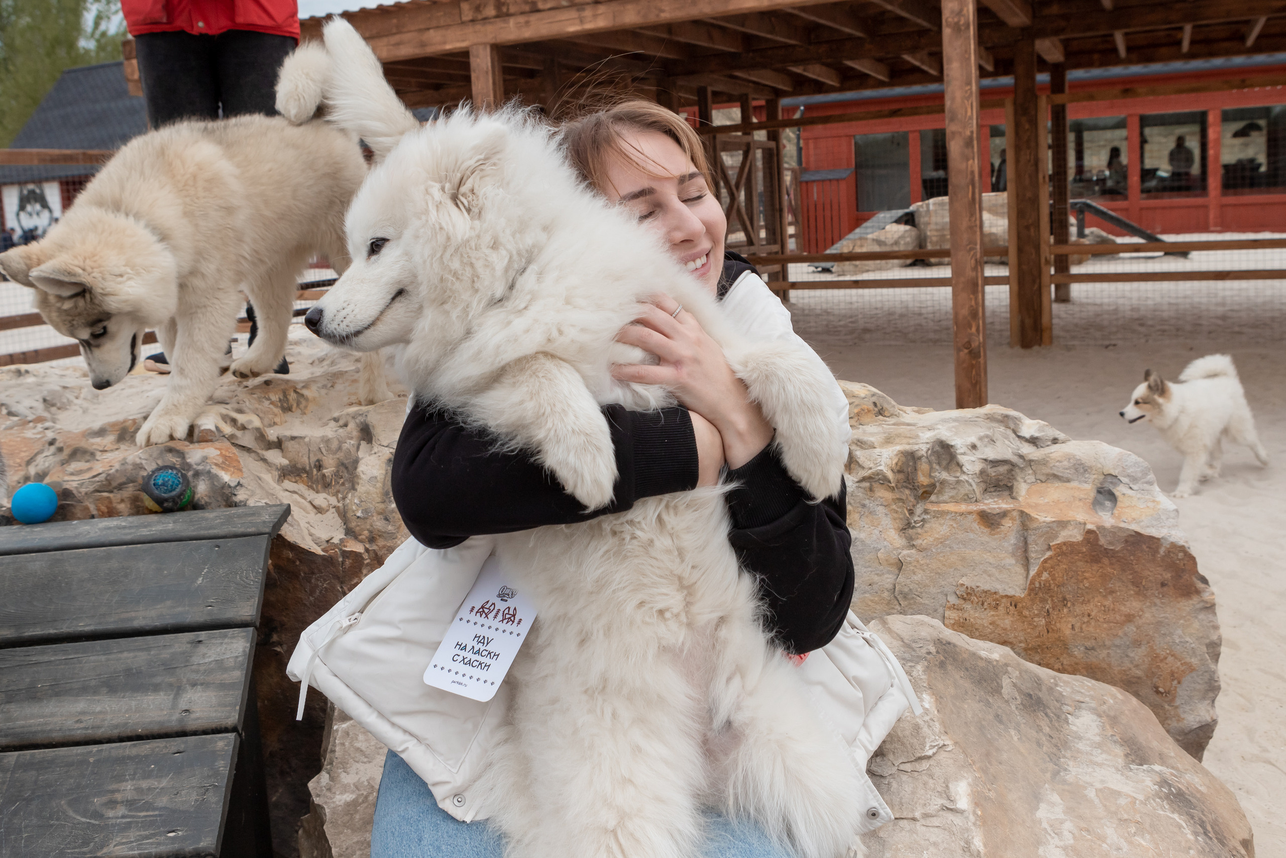 Открытие парка ездовых собак «Ошка», 11 мая 2023. Марк Шишкин — репортажный фотограф в Воронеже и России