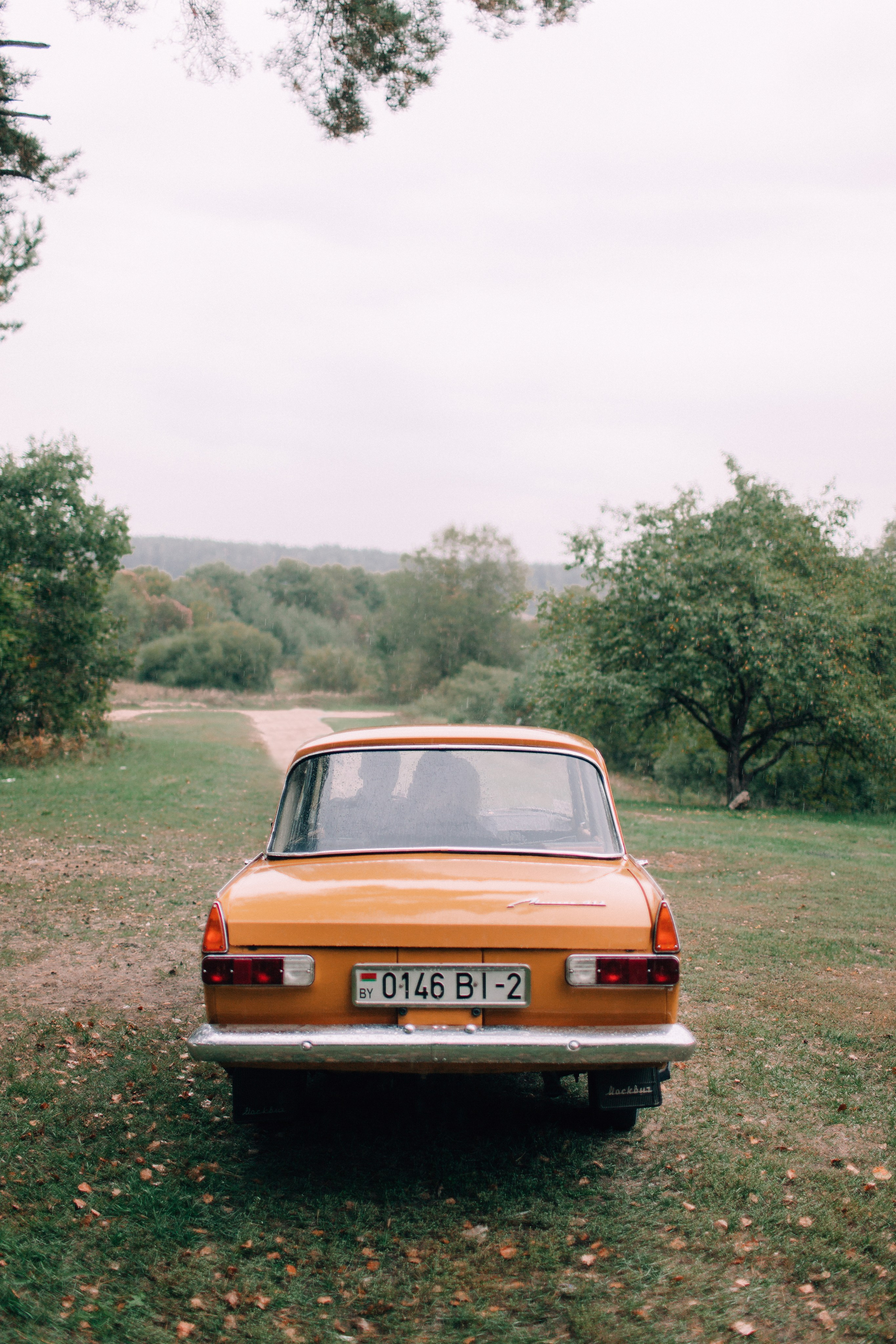 Яна и Артем. Свадебный фотограф в Минске Александр Савченко