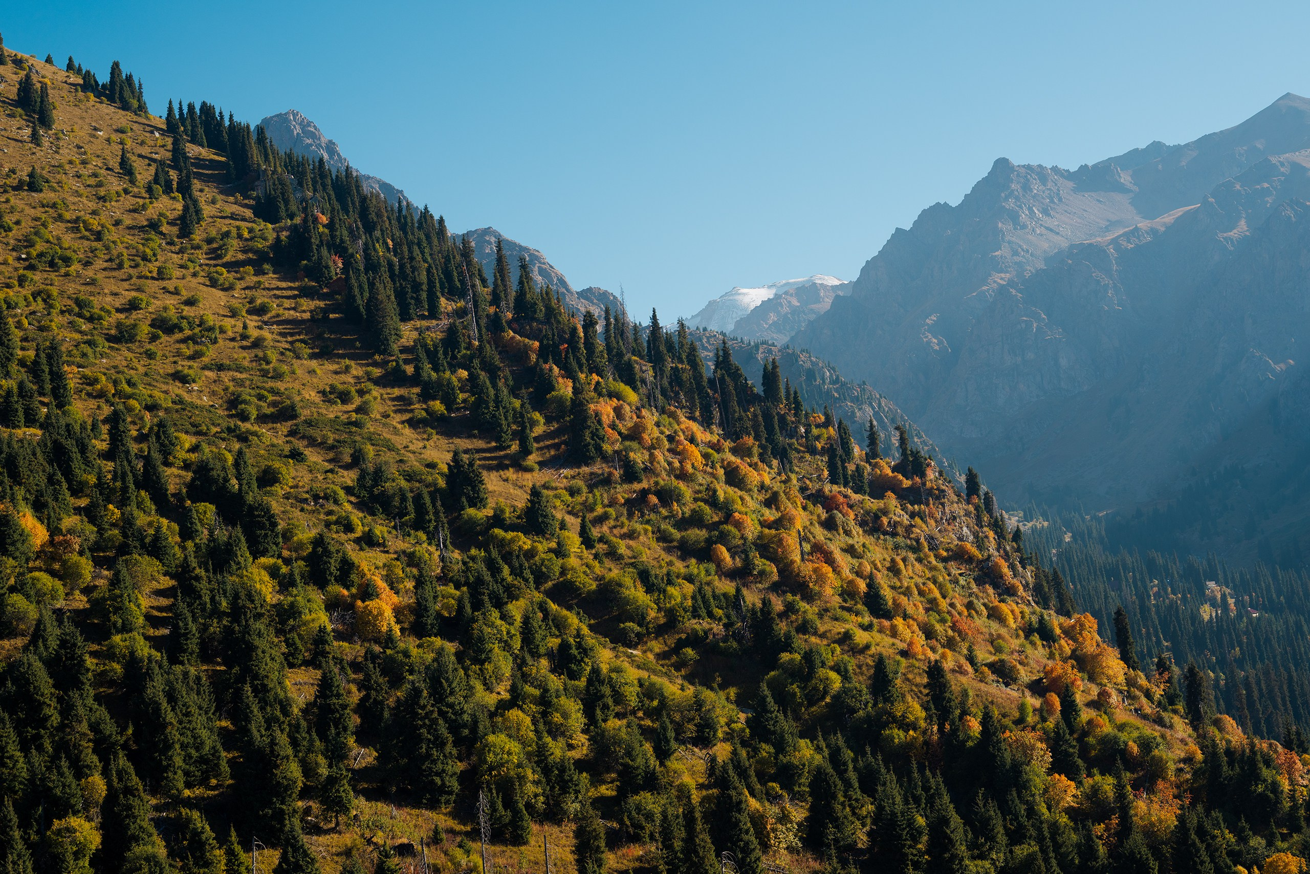 Чимбулак — 2025. Photographer in Almaty — Alexey Konkov | Reportage, Weddings, Portraits, Love Story