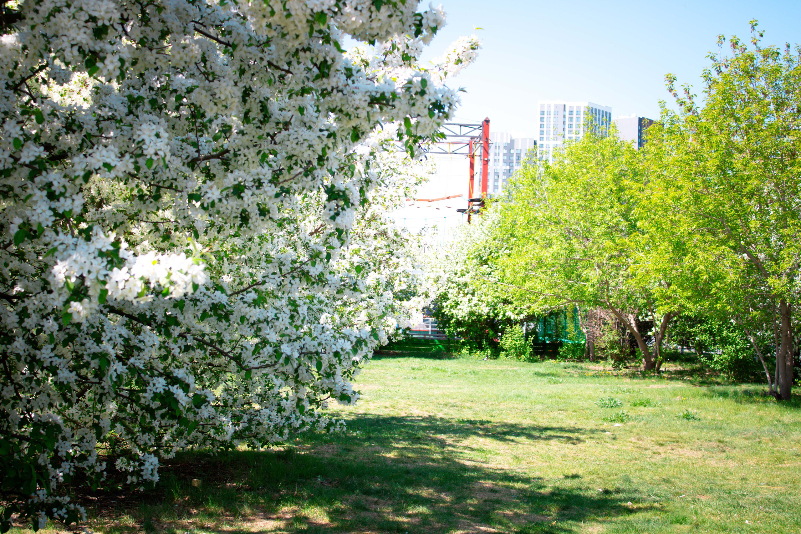 Вдохновение. Бутакова Елена фотограф в Екатеринбурге