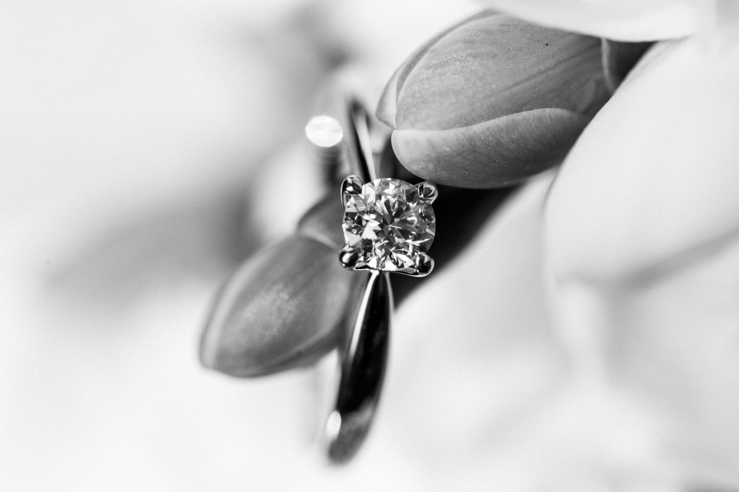 Лера и Дмитрий. Свадебный видеограф в Москве Никонова Анна