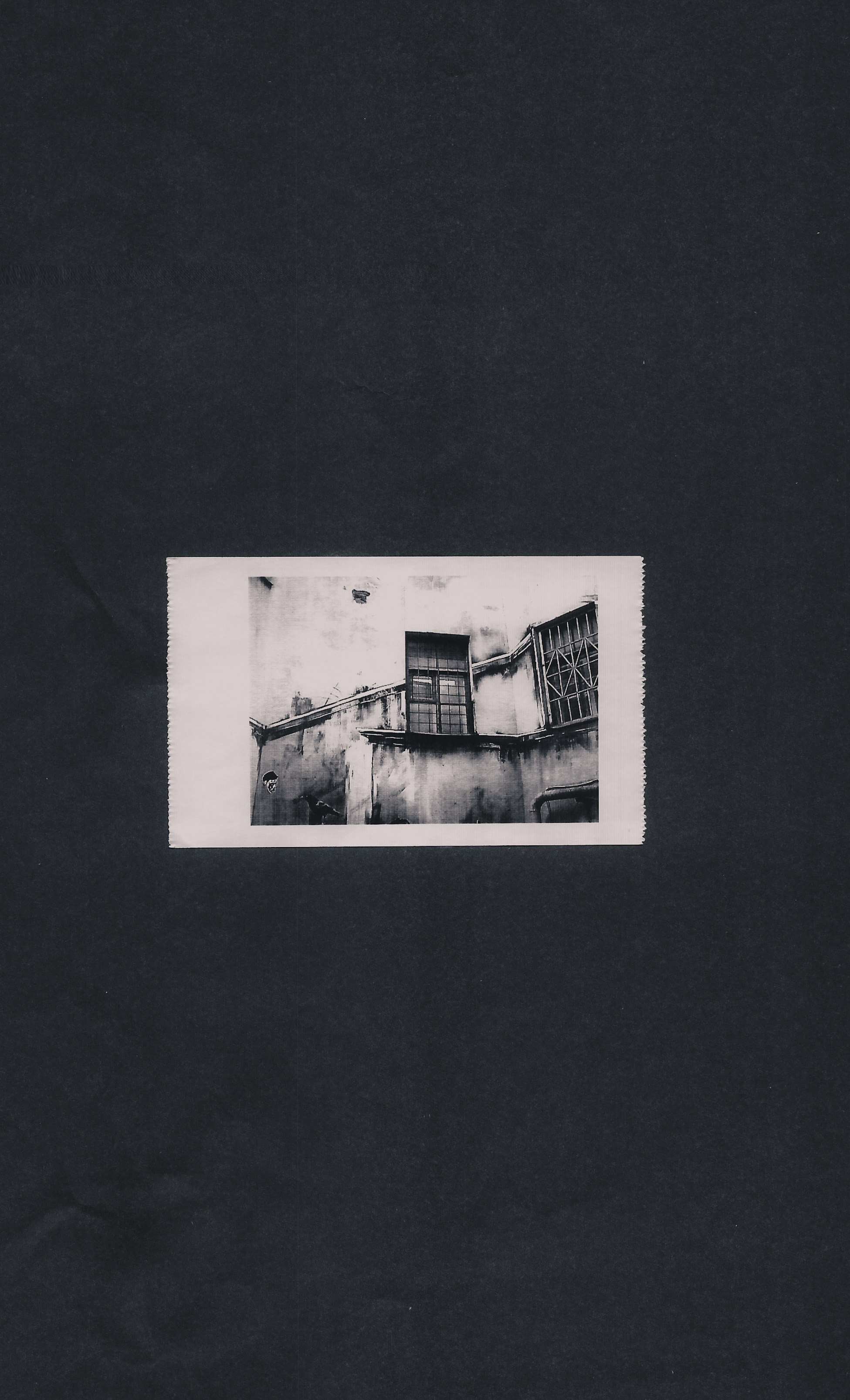 Toycam. Фотограф Алиса Аспер