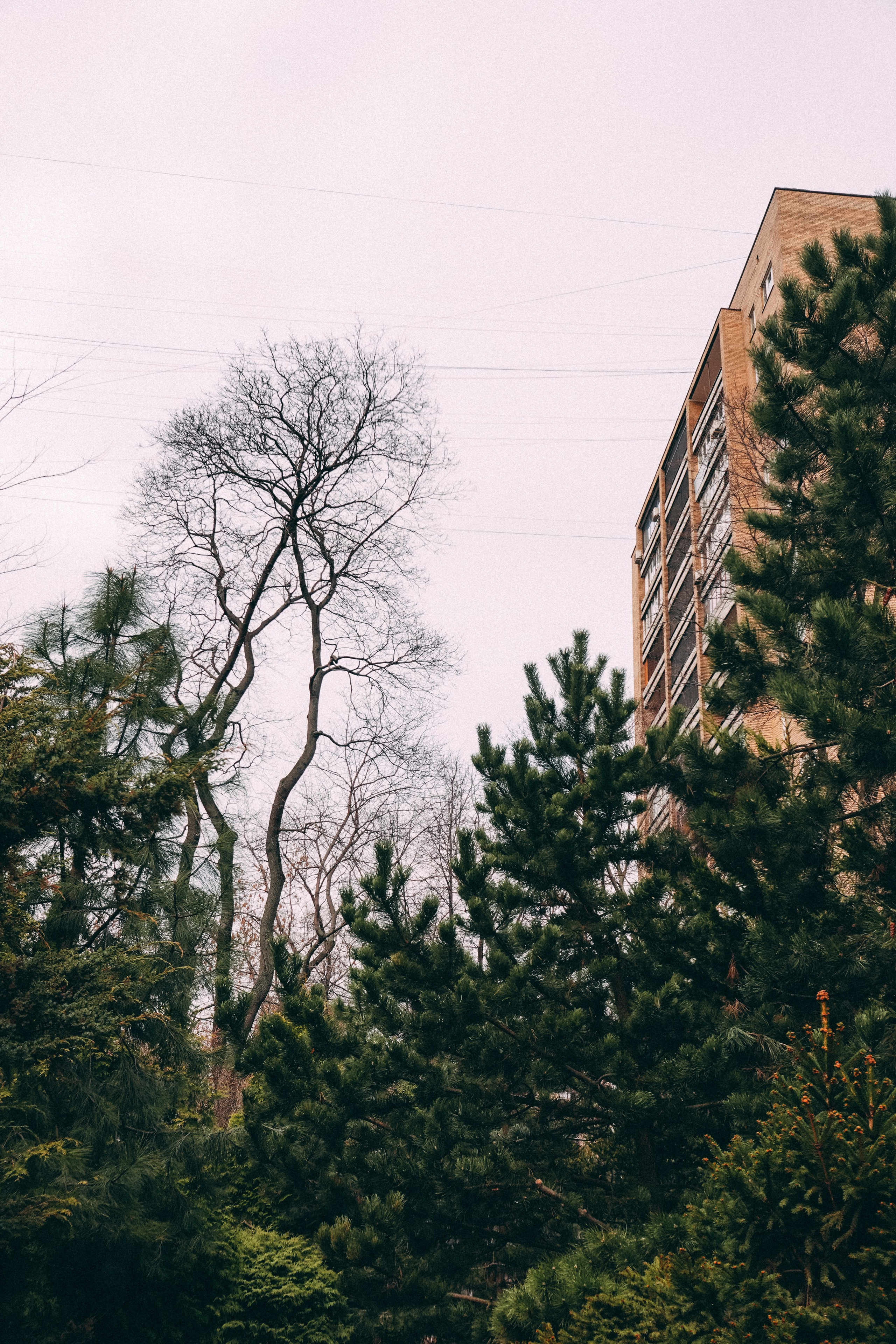 Ботанический сад. Фотограф Алиса Аспер