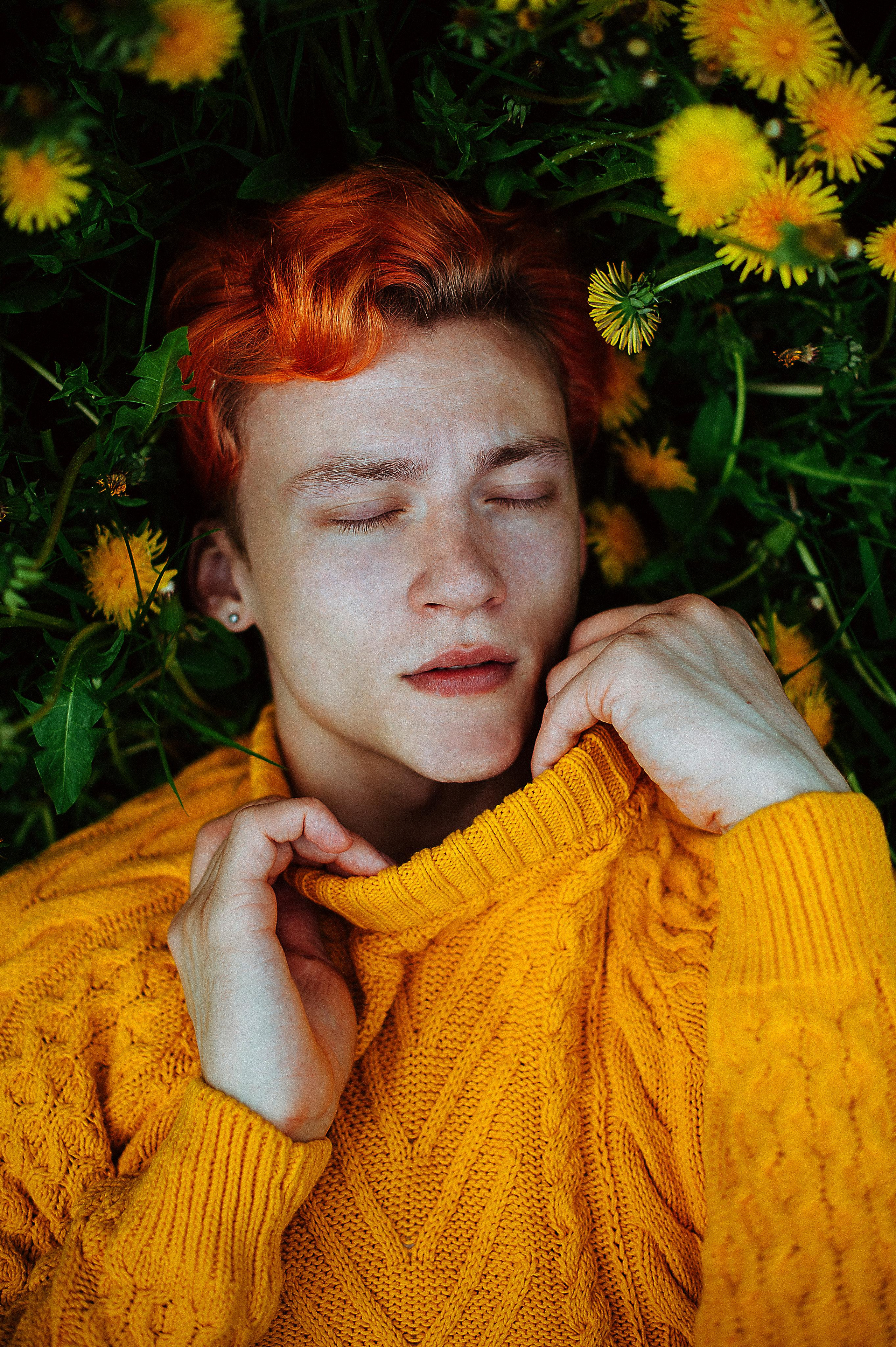 Dandelion. Sergey Vinogradov photographer Russia Saint Petersburg