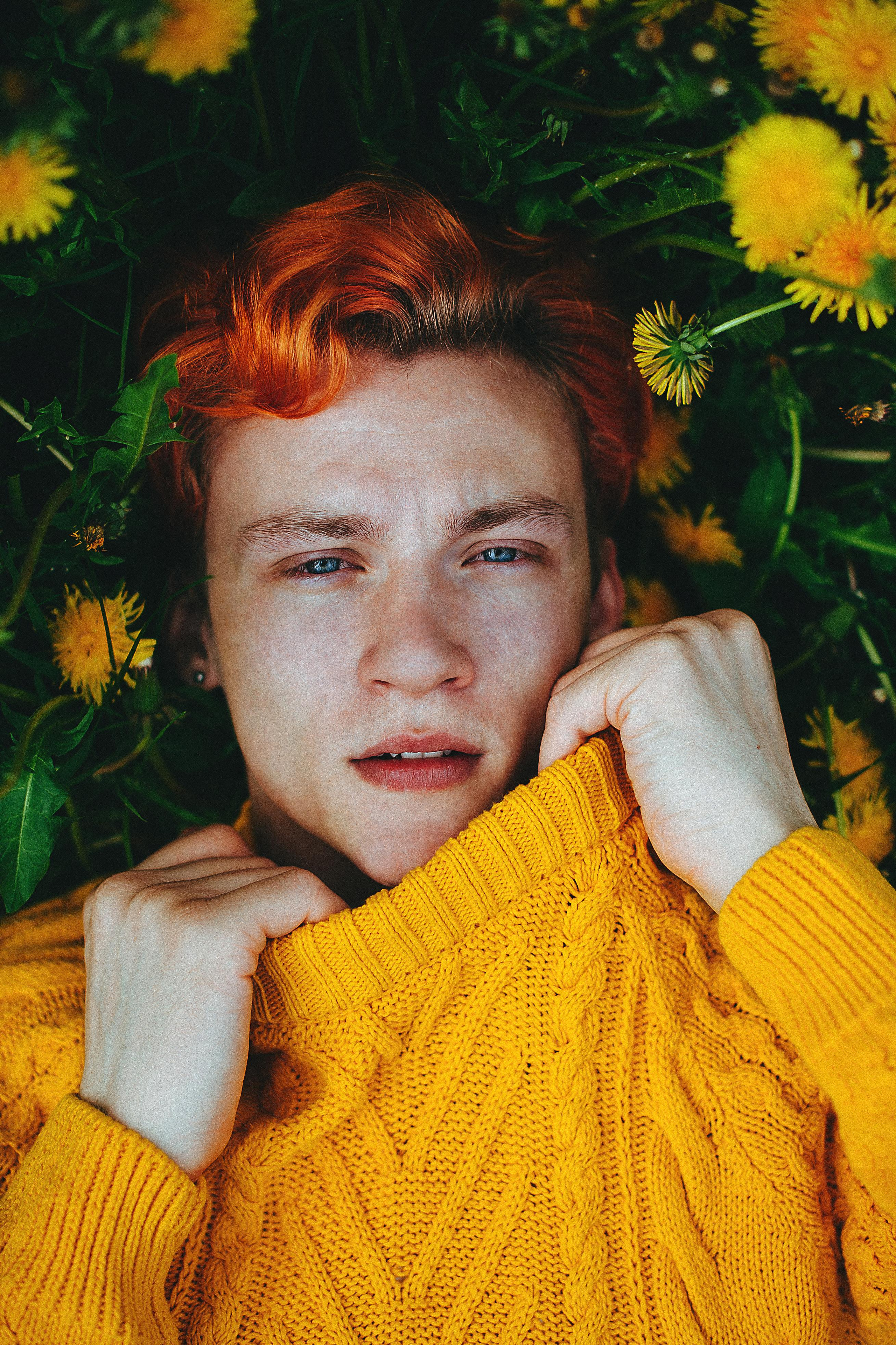 Dandelion. Sergey Vinogradov photographer Russia Saint Petersburg