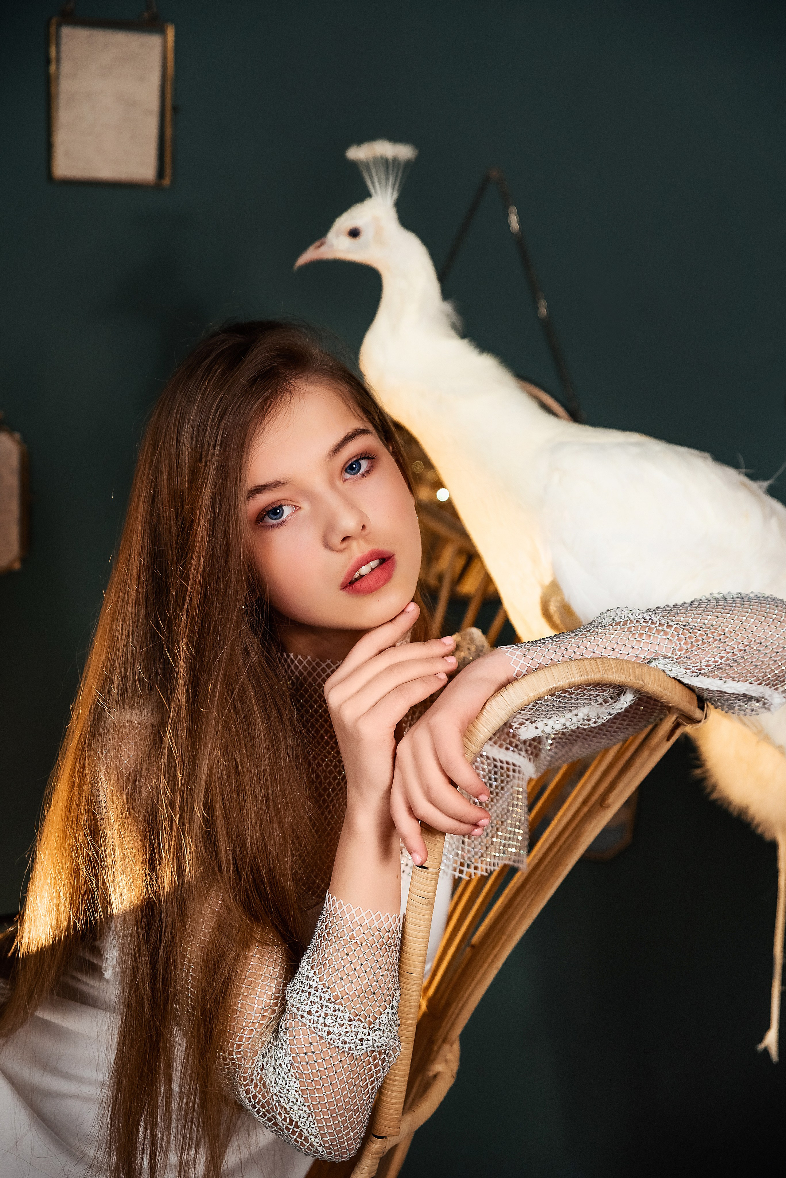 Павлин. Фотограф в Москве Lidiya_Li_Photo