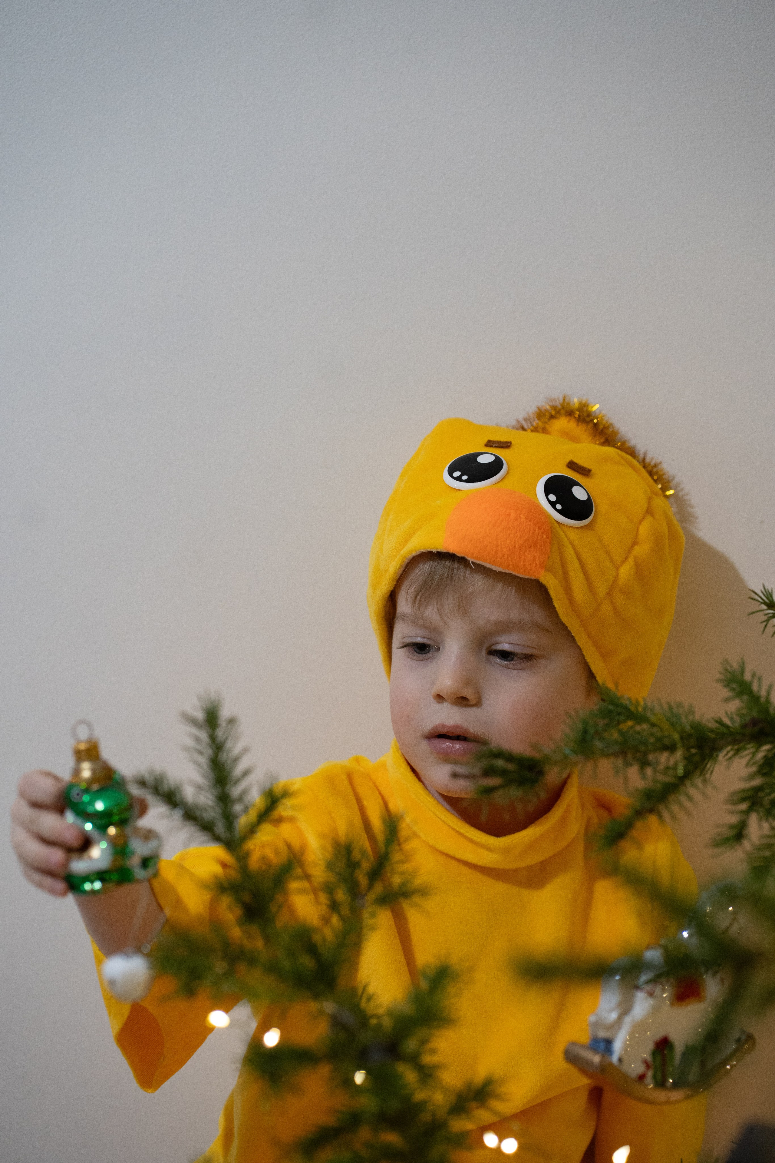 Новый год дома. Алена Коломоец | Фотограф, Мирный, Якутия