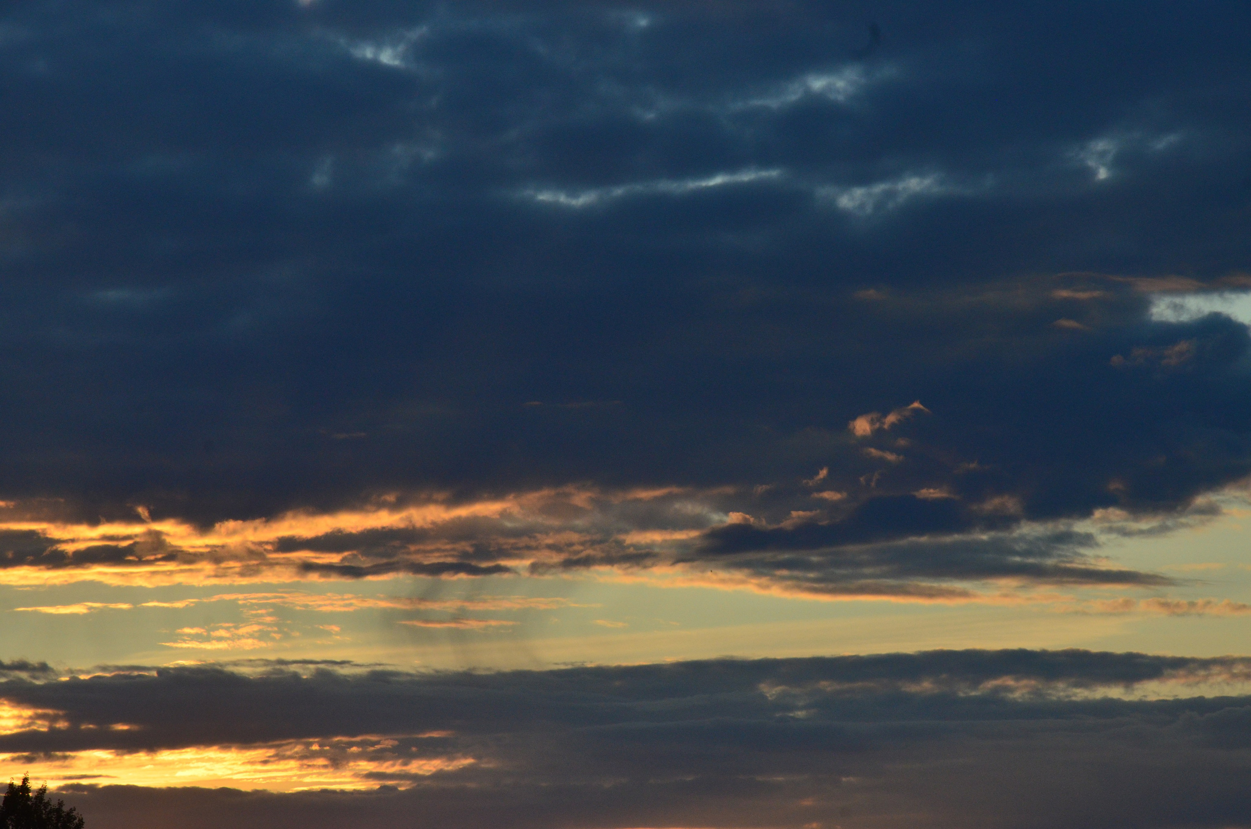 Дары природы. Фотограф viktor viktor