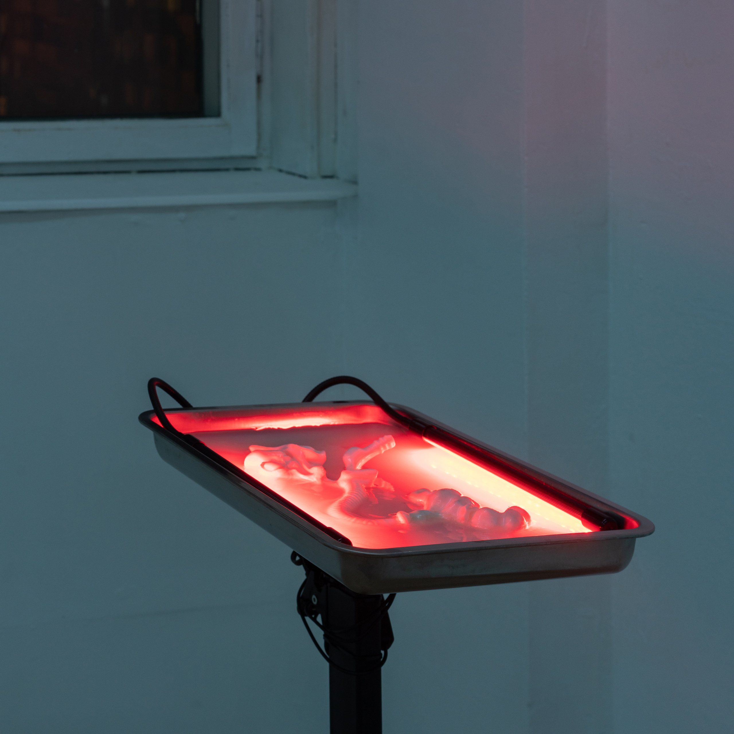 Of new monsters, Earth created more. Nika Peshekhonova Contemporary Artist