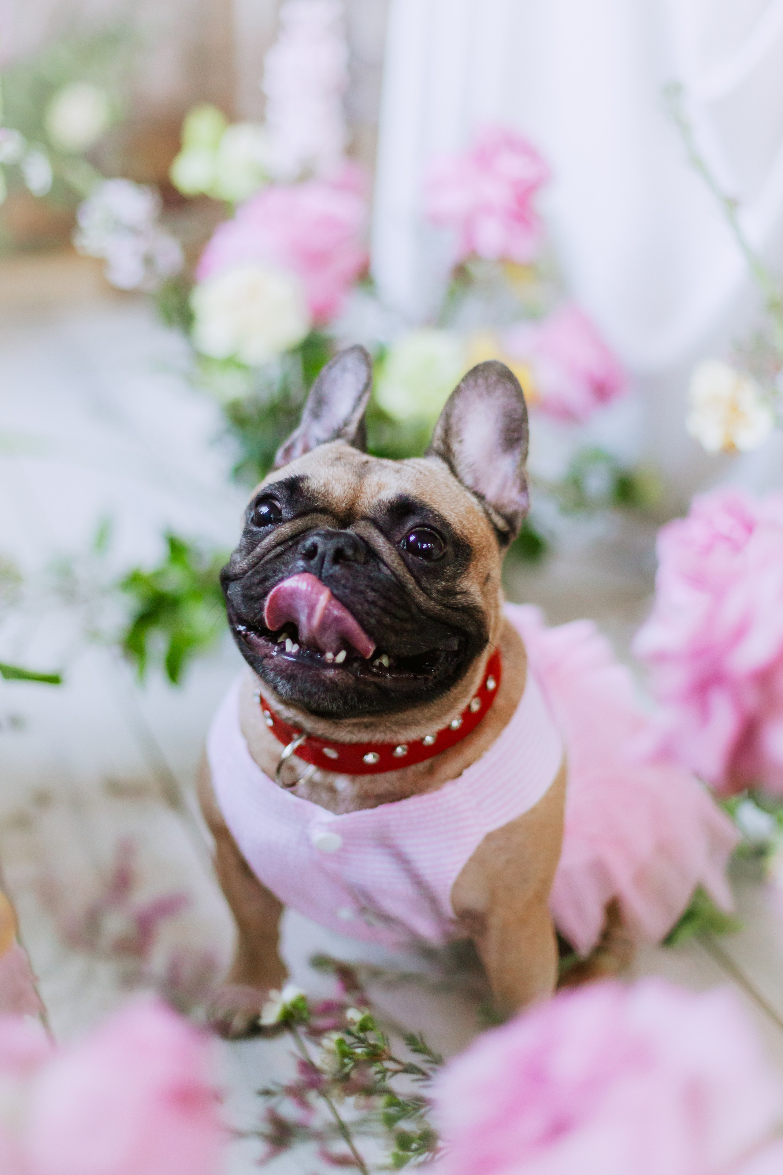 Наталья и Фрося. Фотограф-анималист Татьяна Степанова