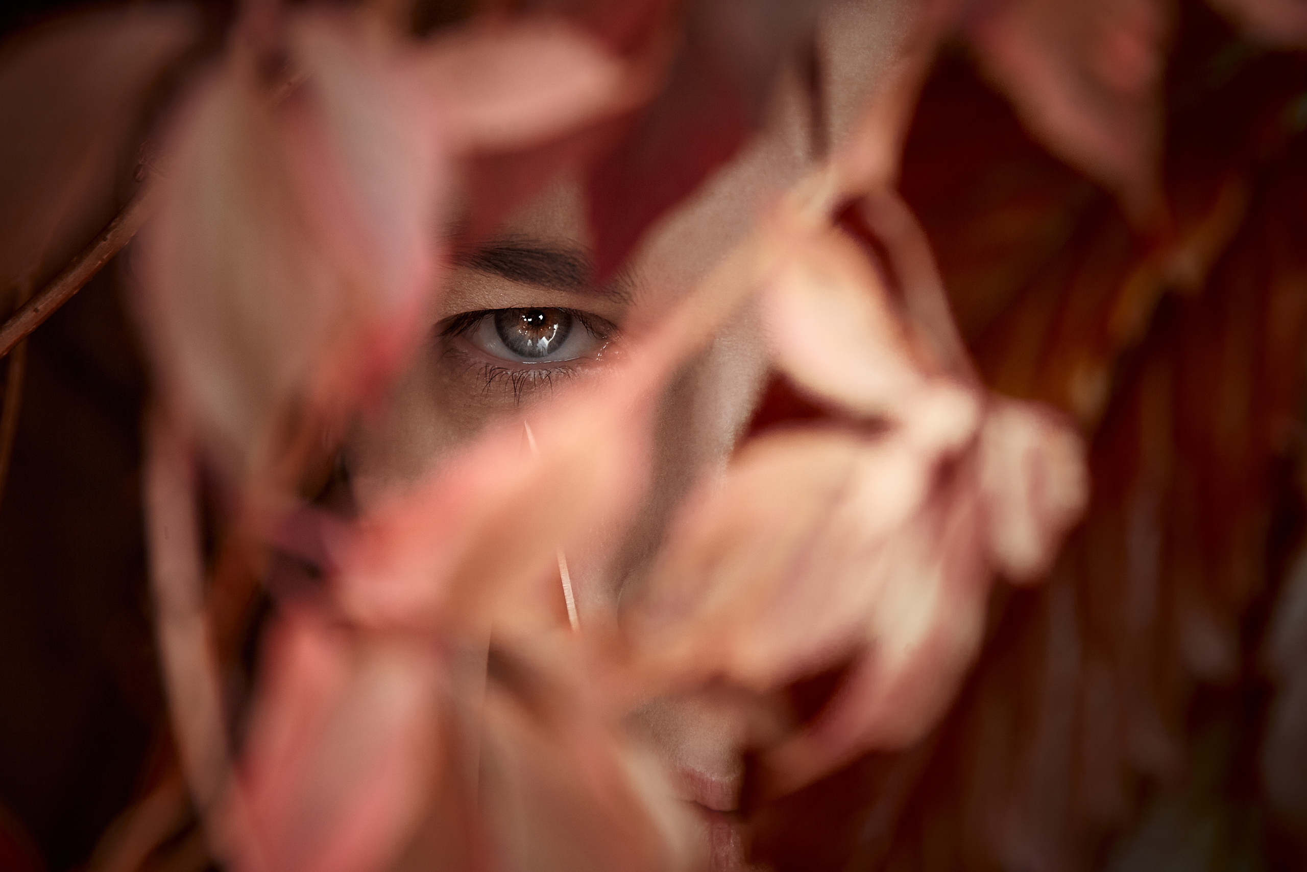 Касуми 2020. Сезон Дождей. Фотохроника для следующих поколений