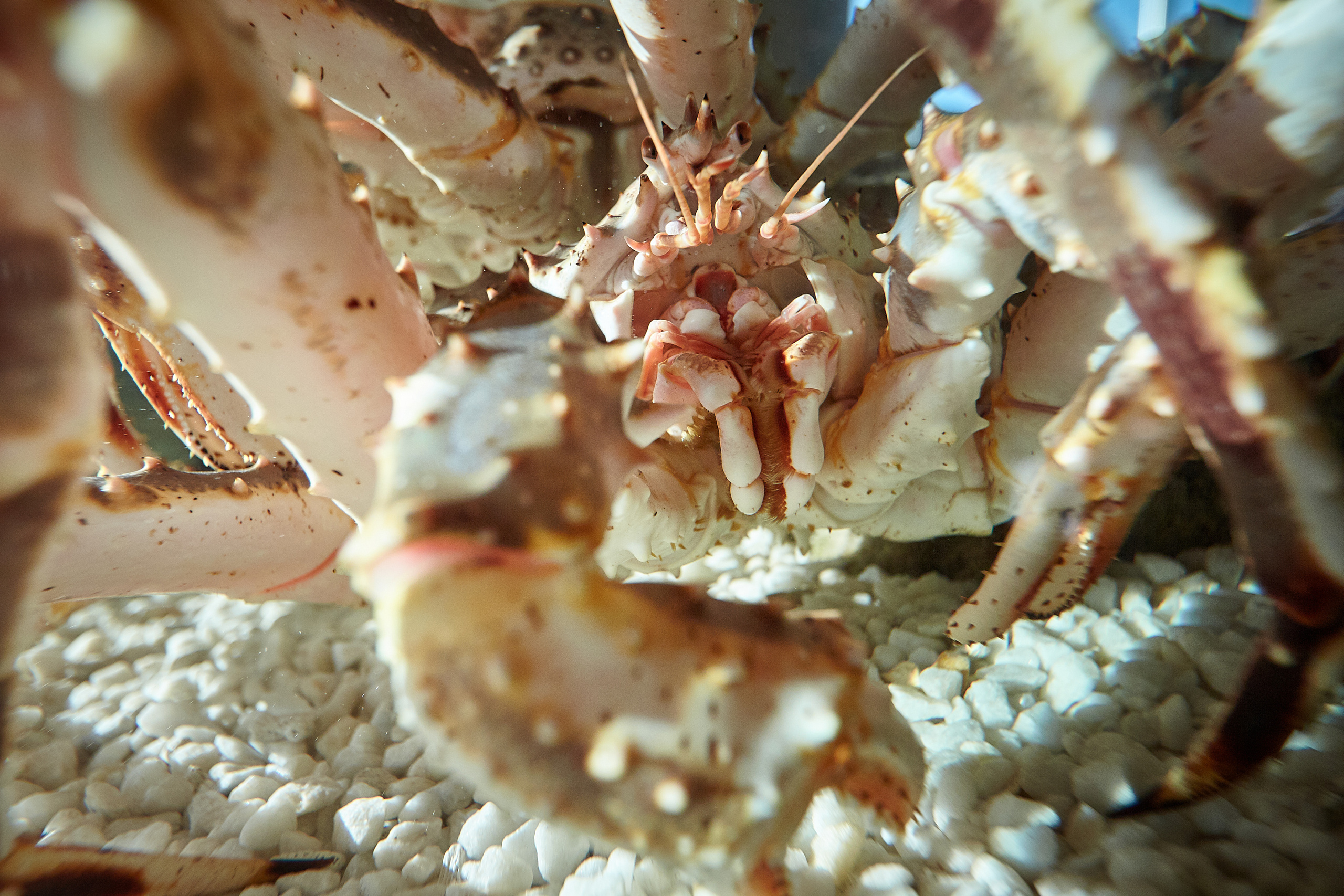 Infinity. Фотохроника для следующих поколений