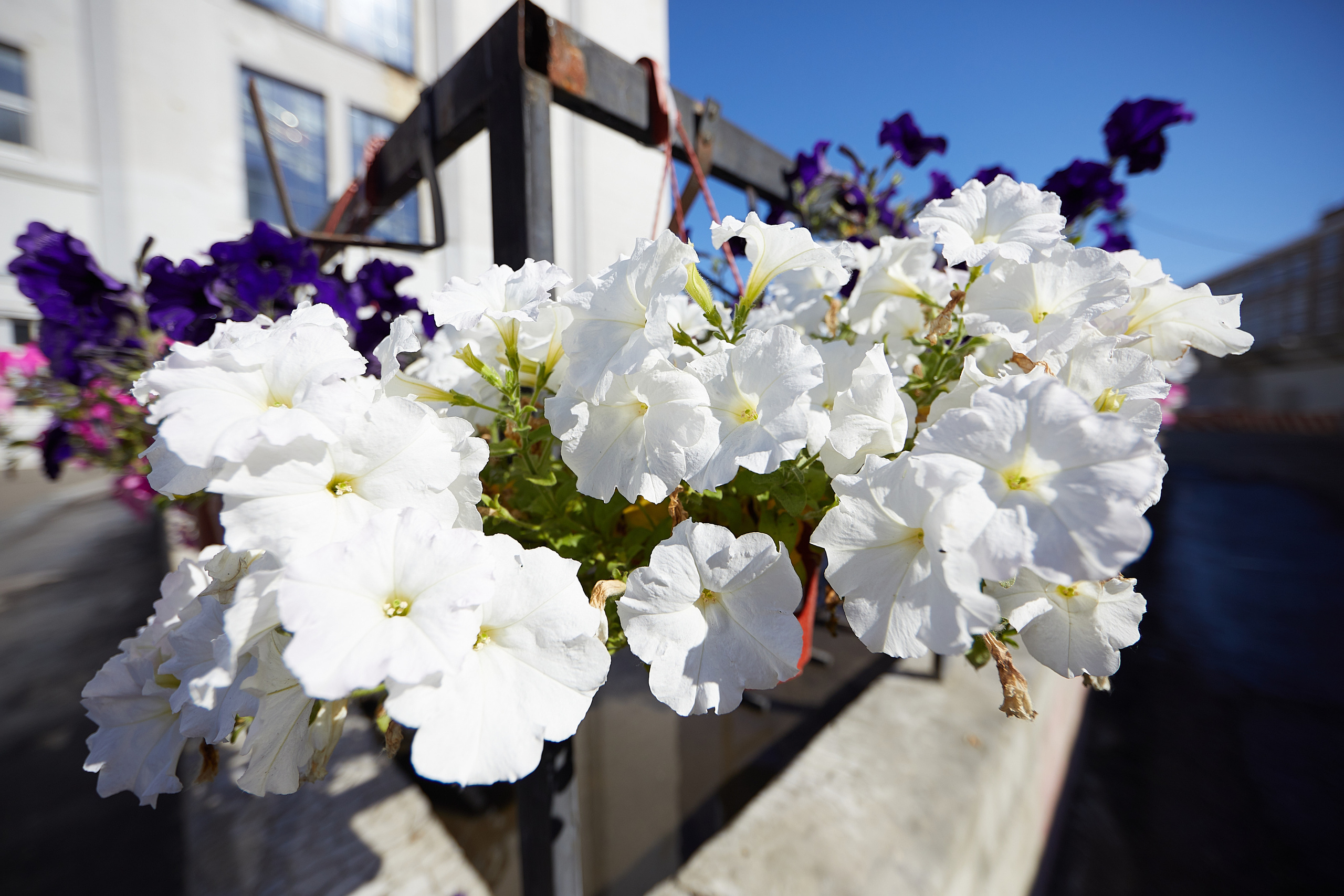 Infinity. Фотохроника для следующих поколений