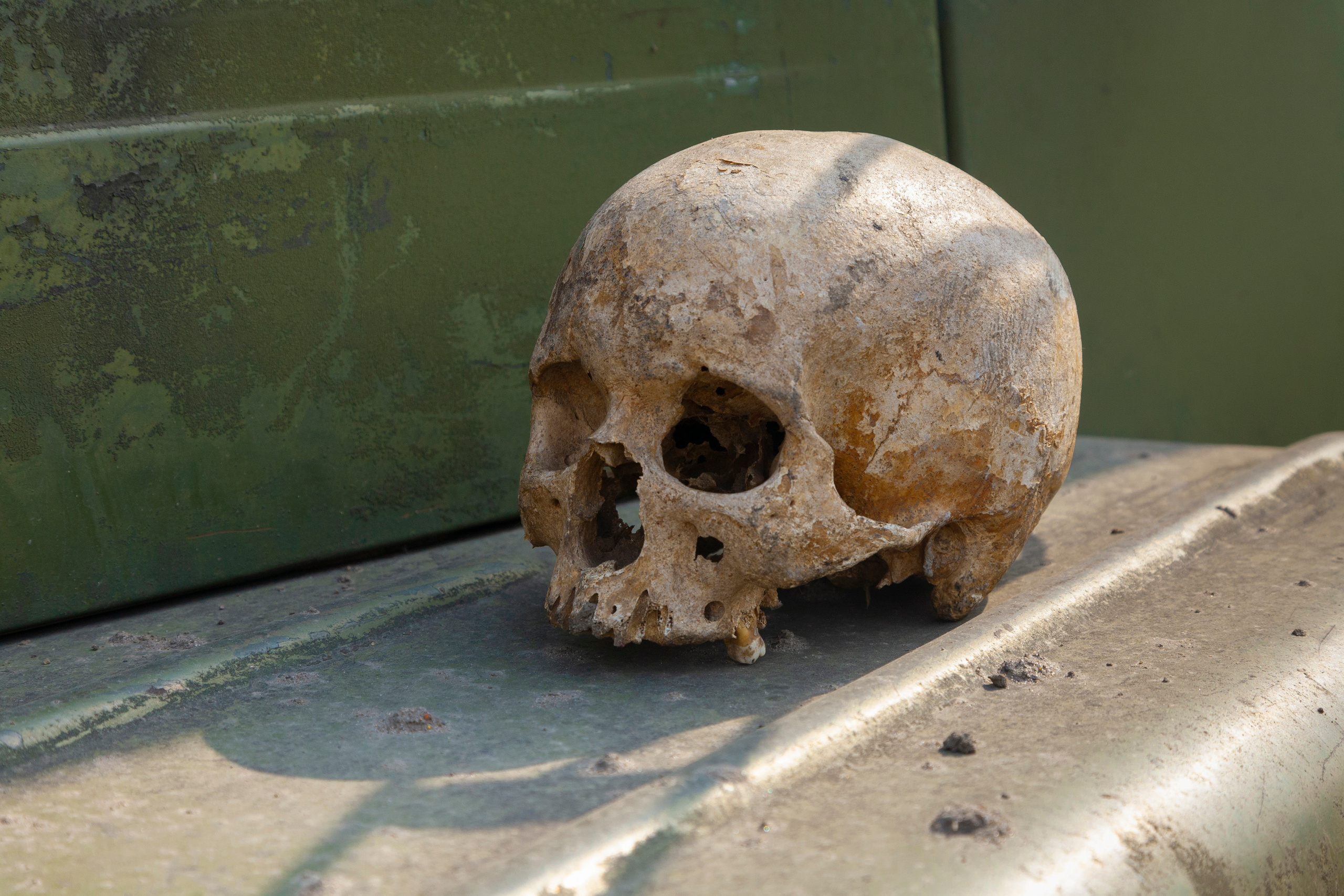 Infinity. Фотохроника для следующих поколений