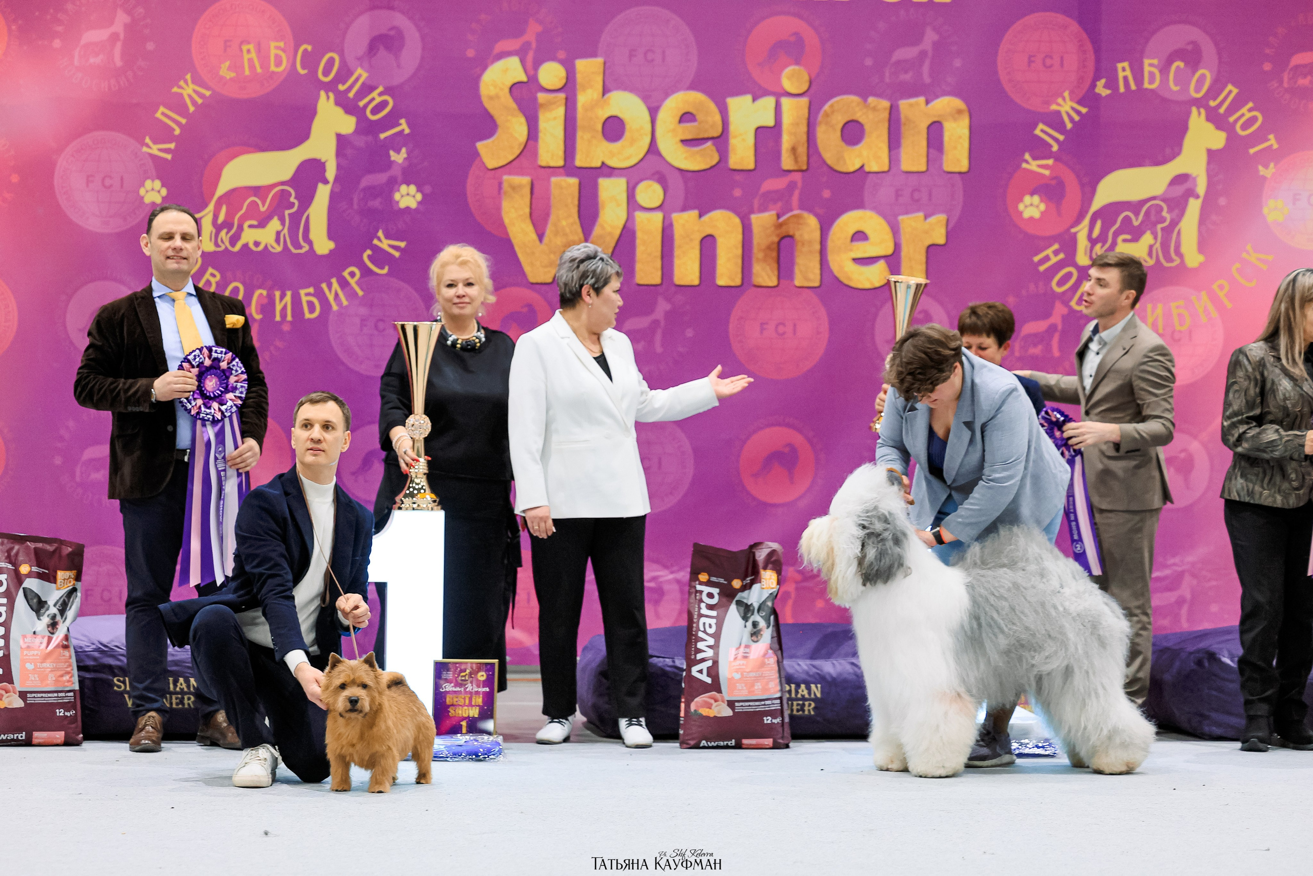 28-29.03.2026 Рейтинговая выставка в Новосибирске. Фотограф Анималист из Новосибирска Татьяна Кауфман