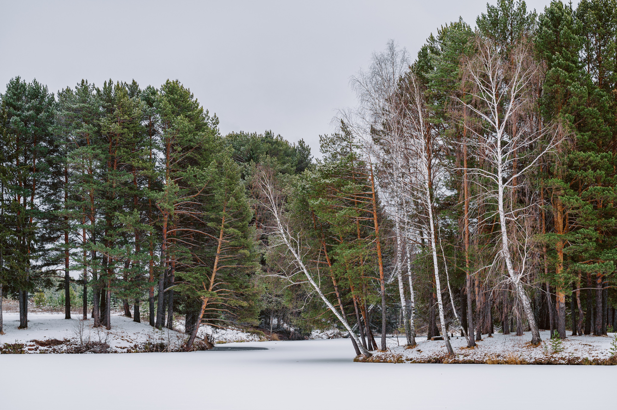 Природа. Максим Егоров, г. Ижевск. Репортажная, предметная съёмка и фуд-фотография