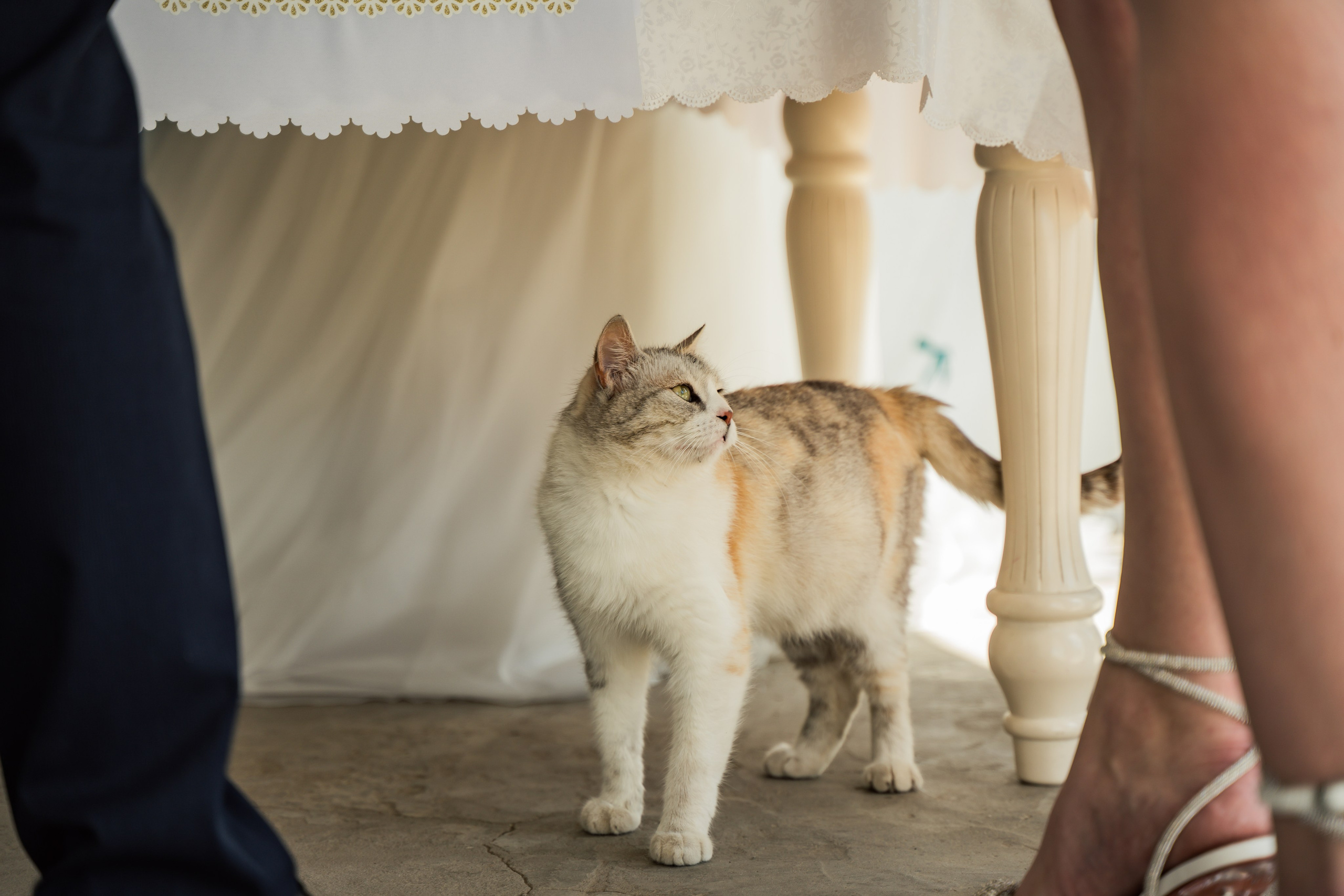 Свадебная съемка