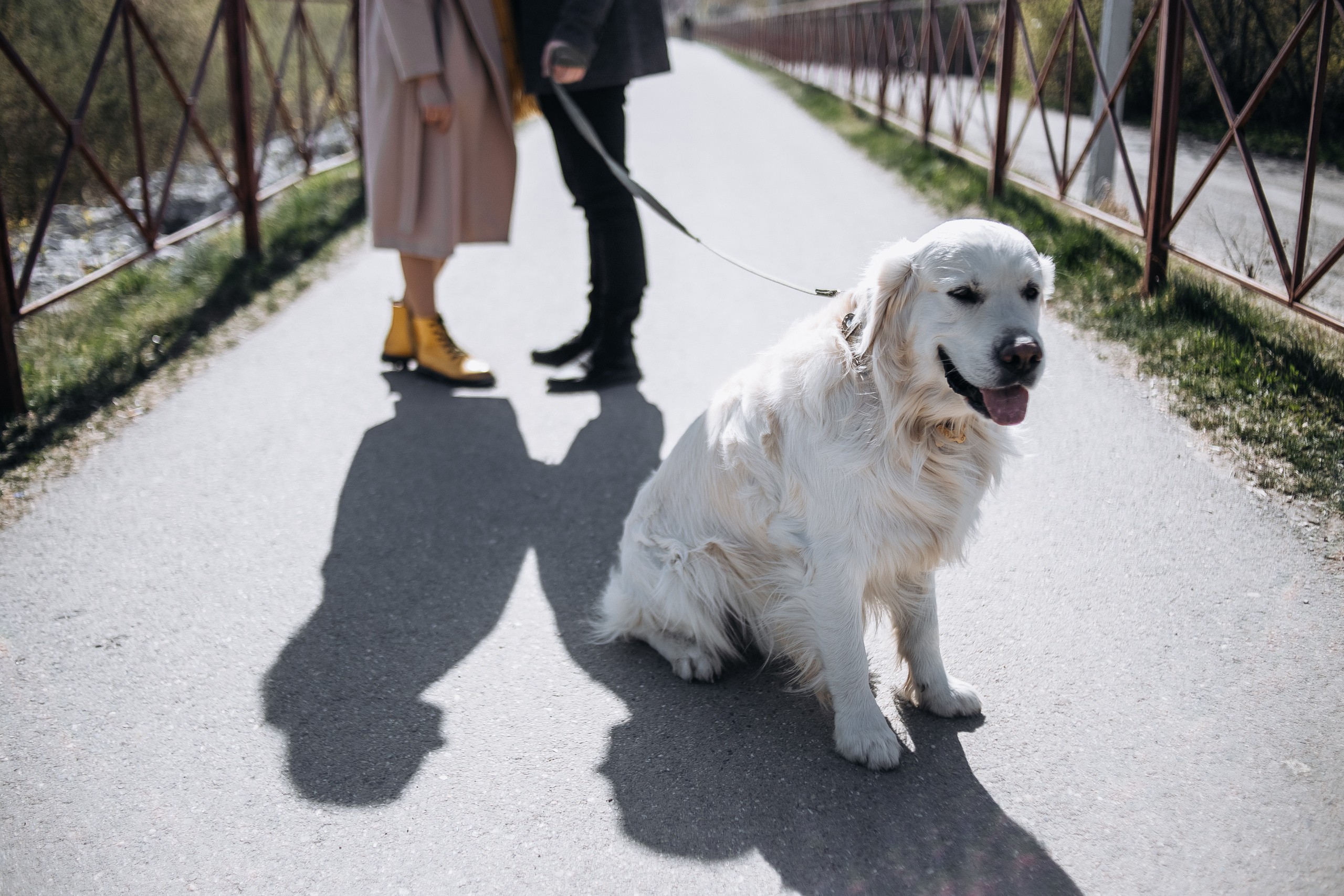 Катя, Семён и Бруно. Свадебный и семейный фотограф Томск| Юлия Филатова