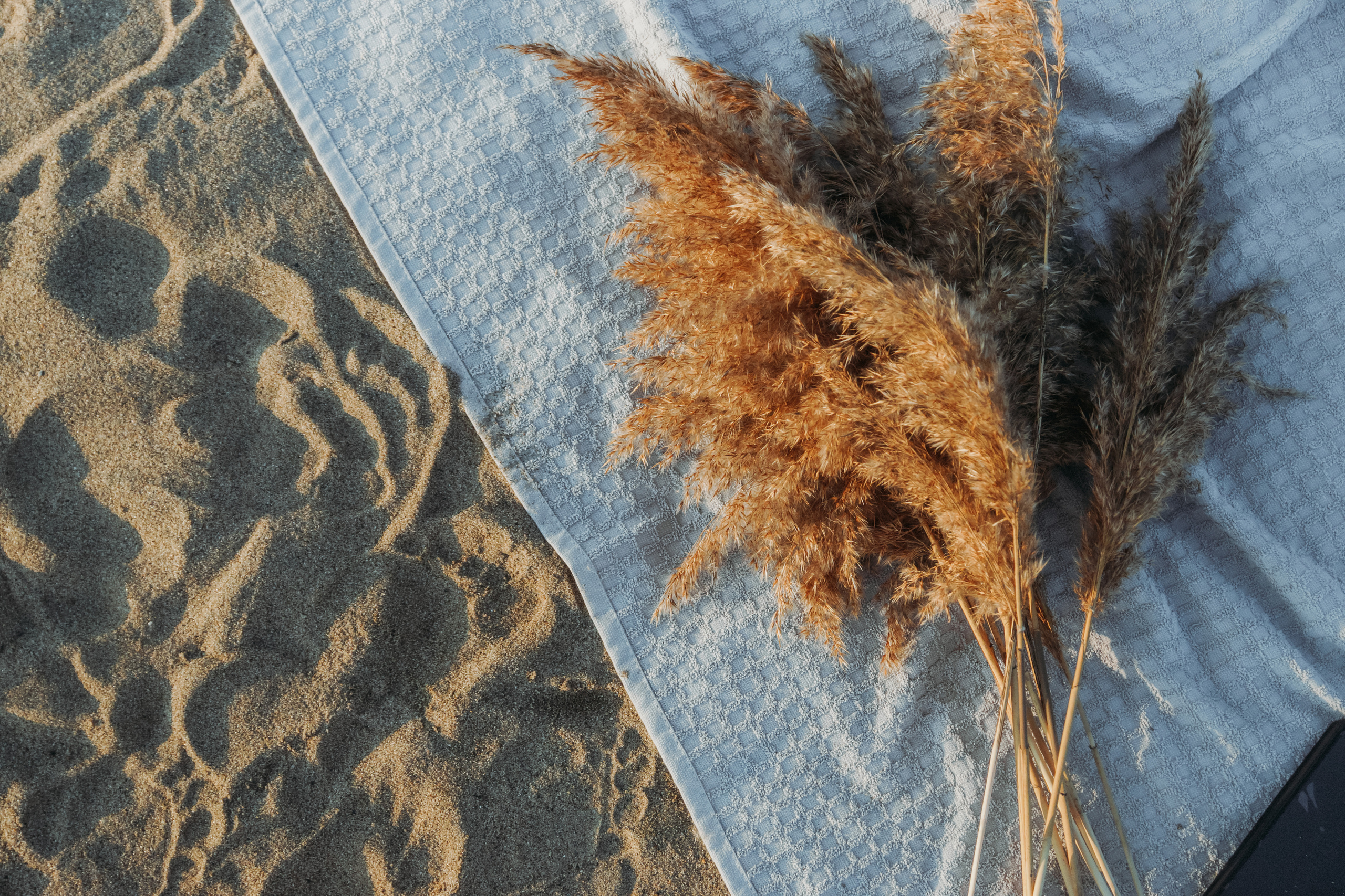 Лиза. Свадебный и семейный фотограф Томск| Юлия Филатова