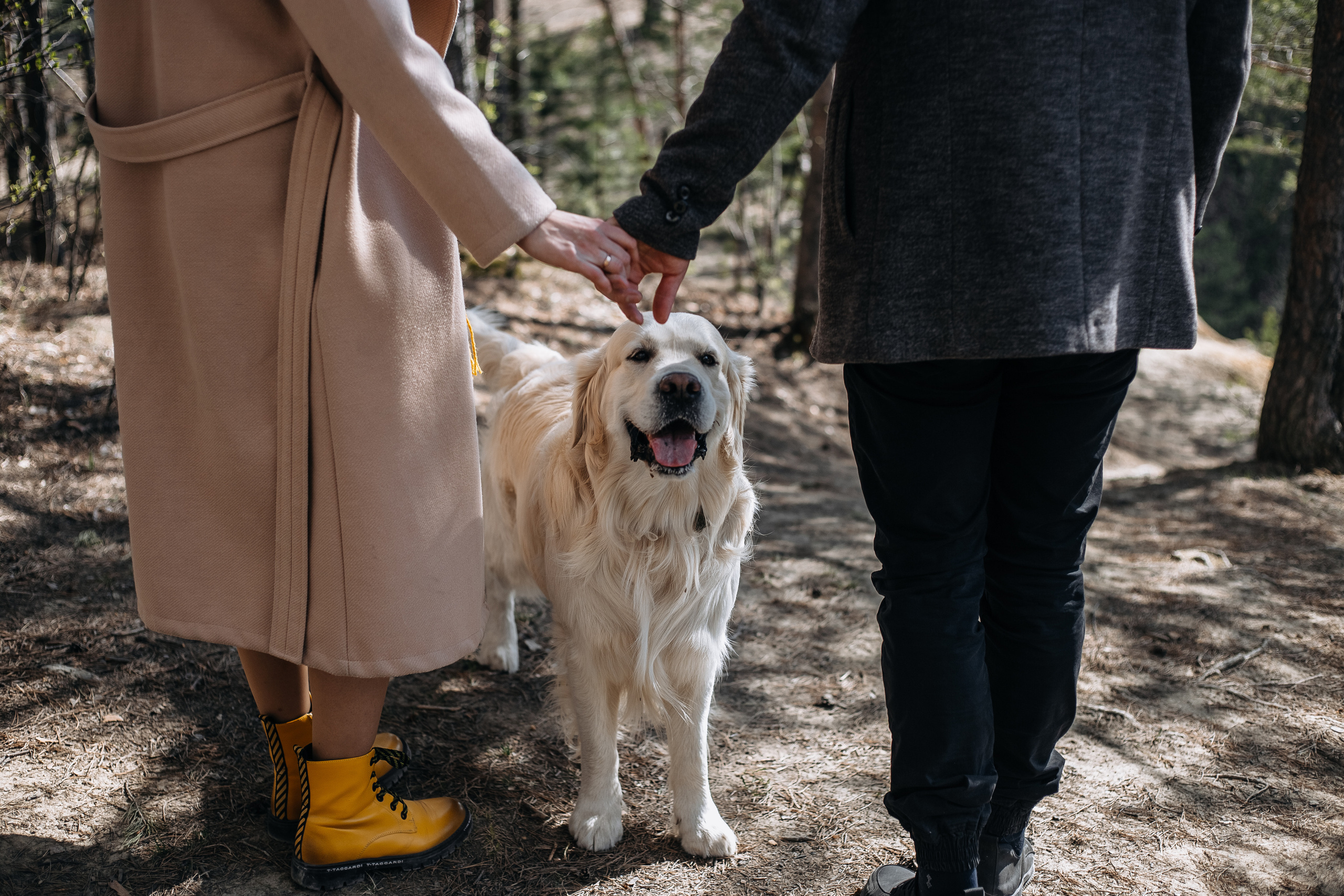 Катя, Семён и Бруно. Свадебный и семейный фотограф Томск| Юлия Филатова