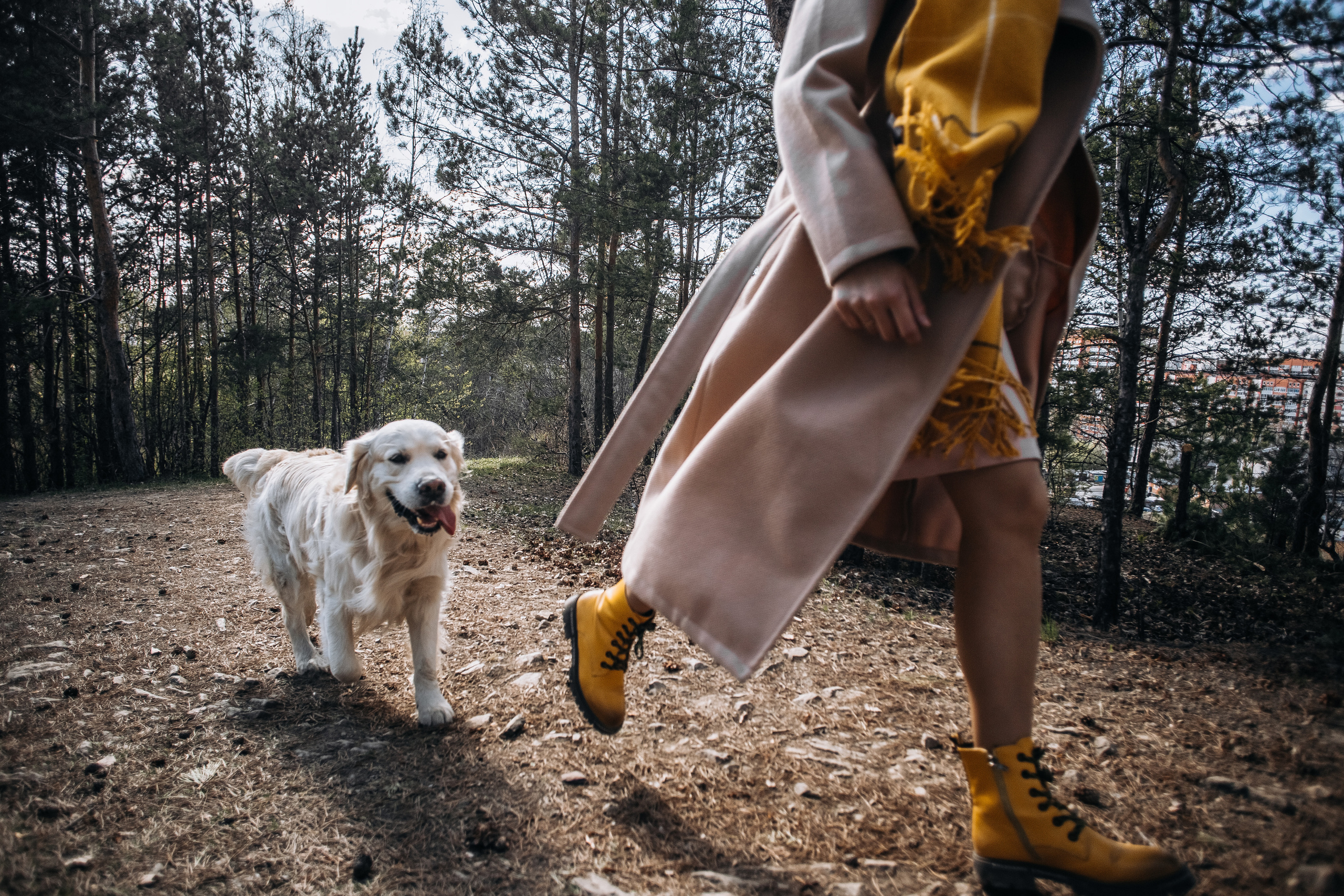 Катя, Семён и Бруно. Свадебный и семейный фотограф Томск| Юлия Филатова
