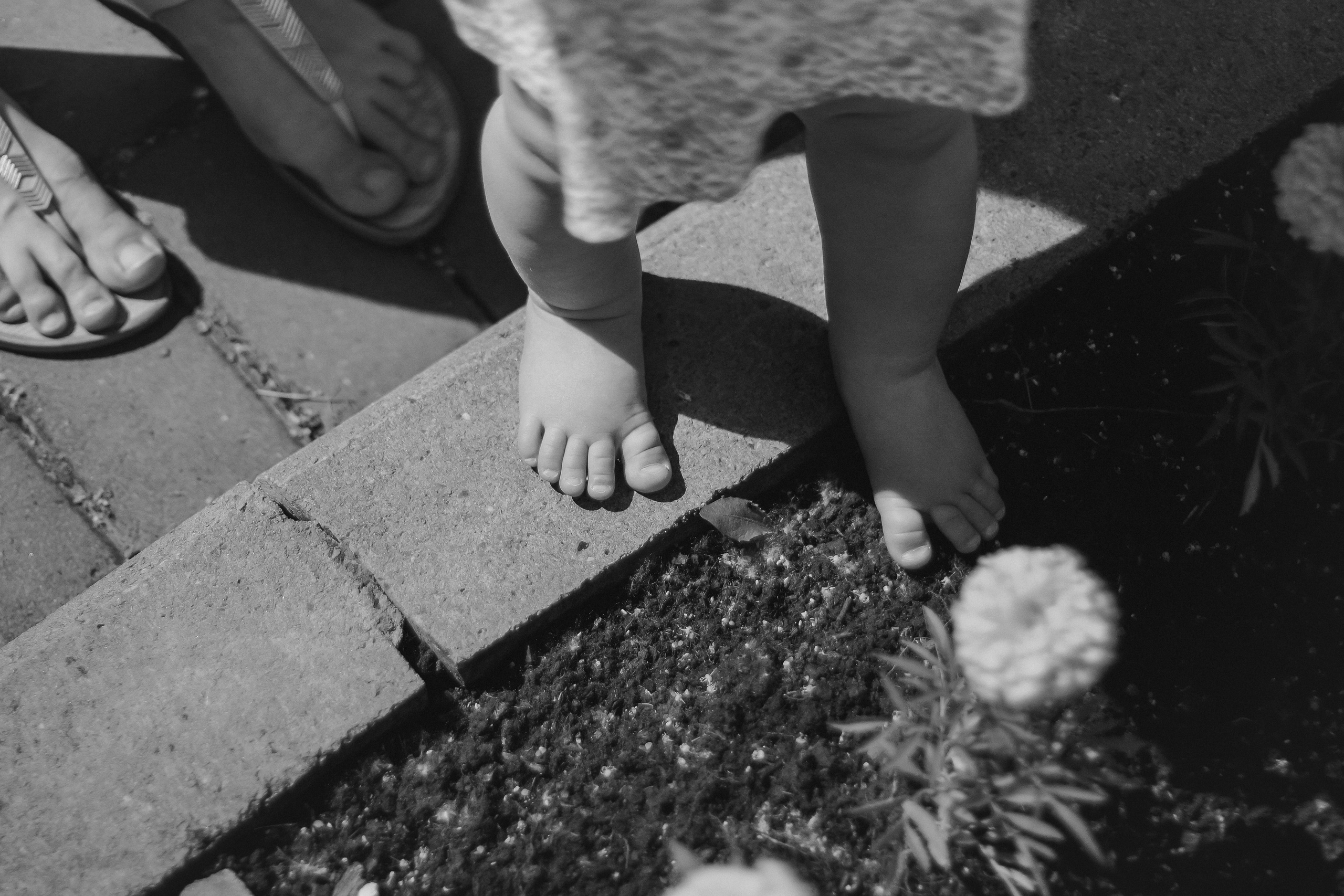 ГорСад. Свадебный и семейный фотограф Томск| Юлия Филатова