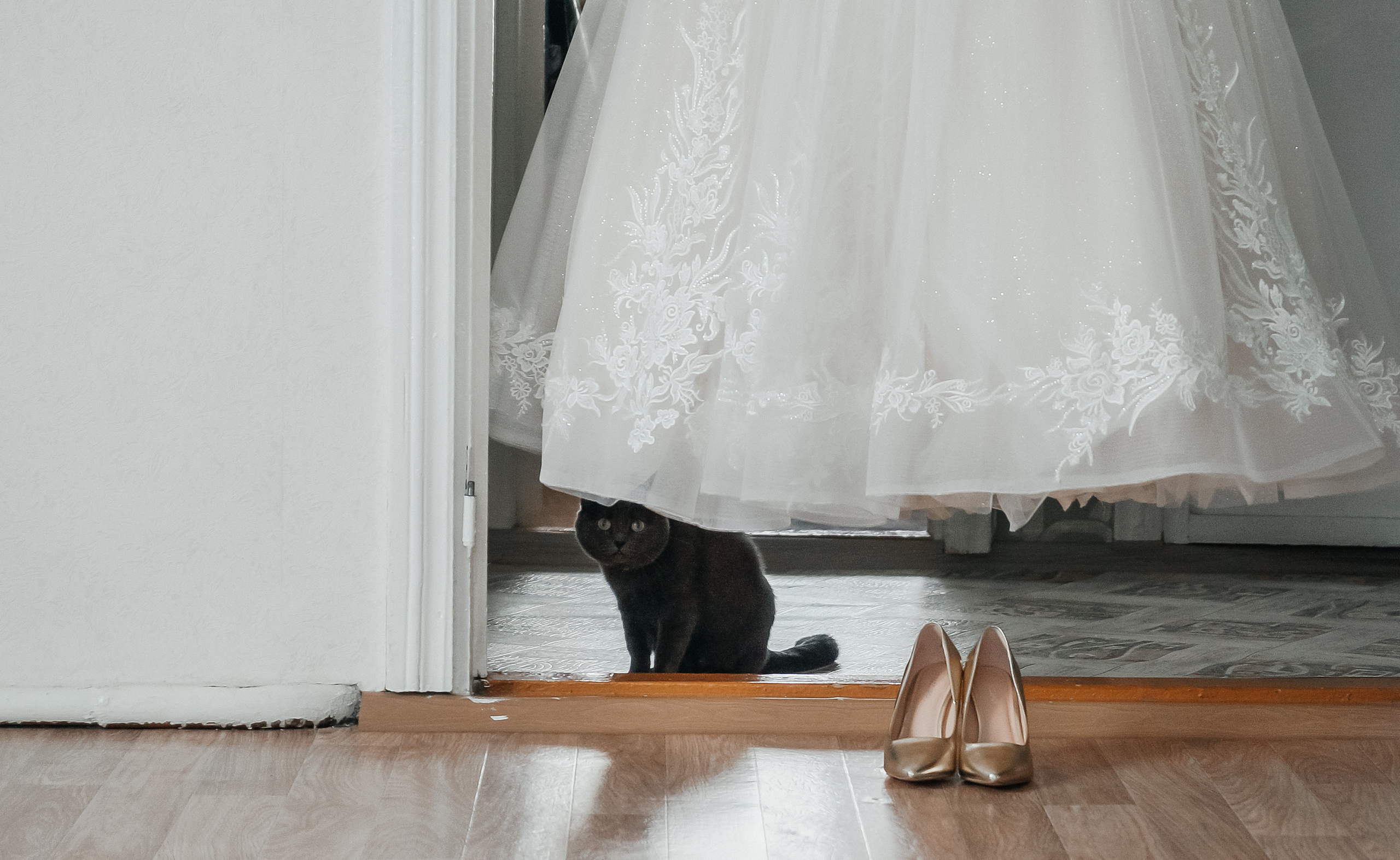 Юля и Ваня. Свадебный и семейный фотограф Томск| Юлия Филатова