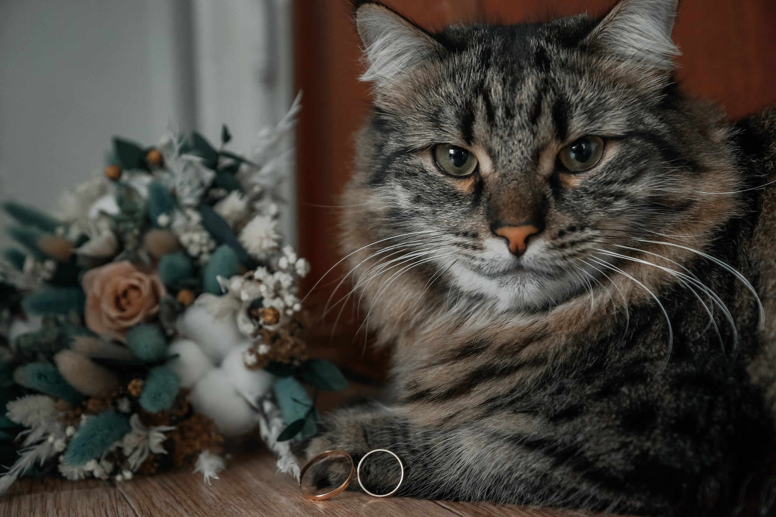 Юля и Ваня. Свадебный и семейный фотограф Томск| Юлия Филатова