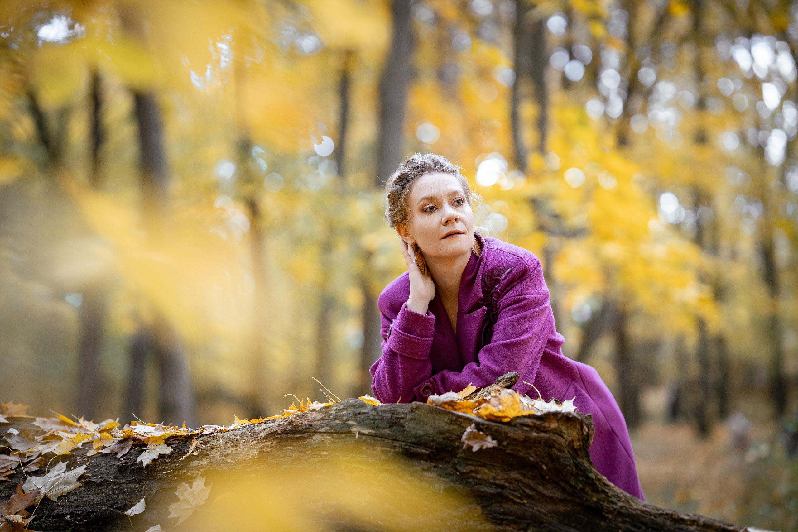 Осень. Фотограф Казакова Анастасия