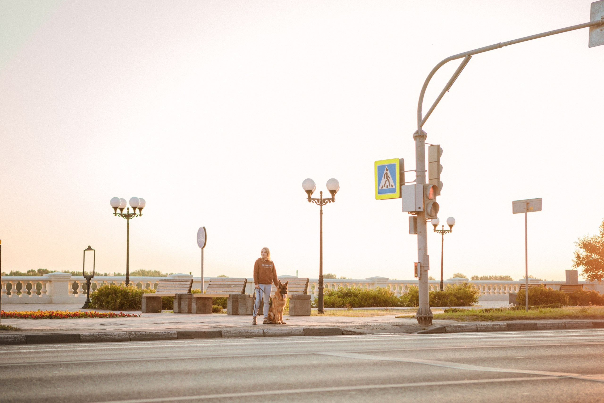 НО Расмус. Рассвет. Фотограф анималист Кузнецова Анна Нижний Новгород