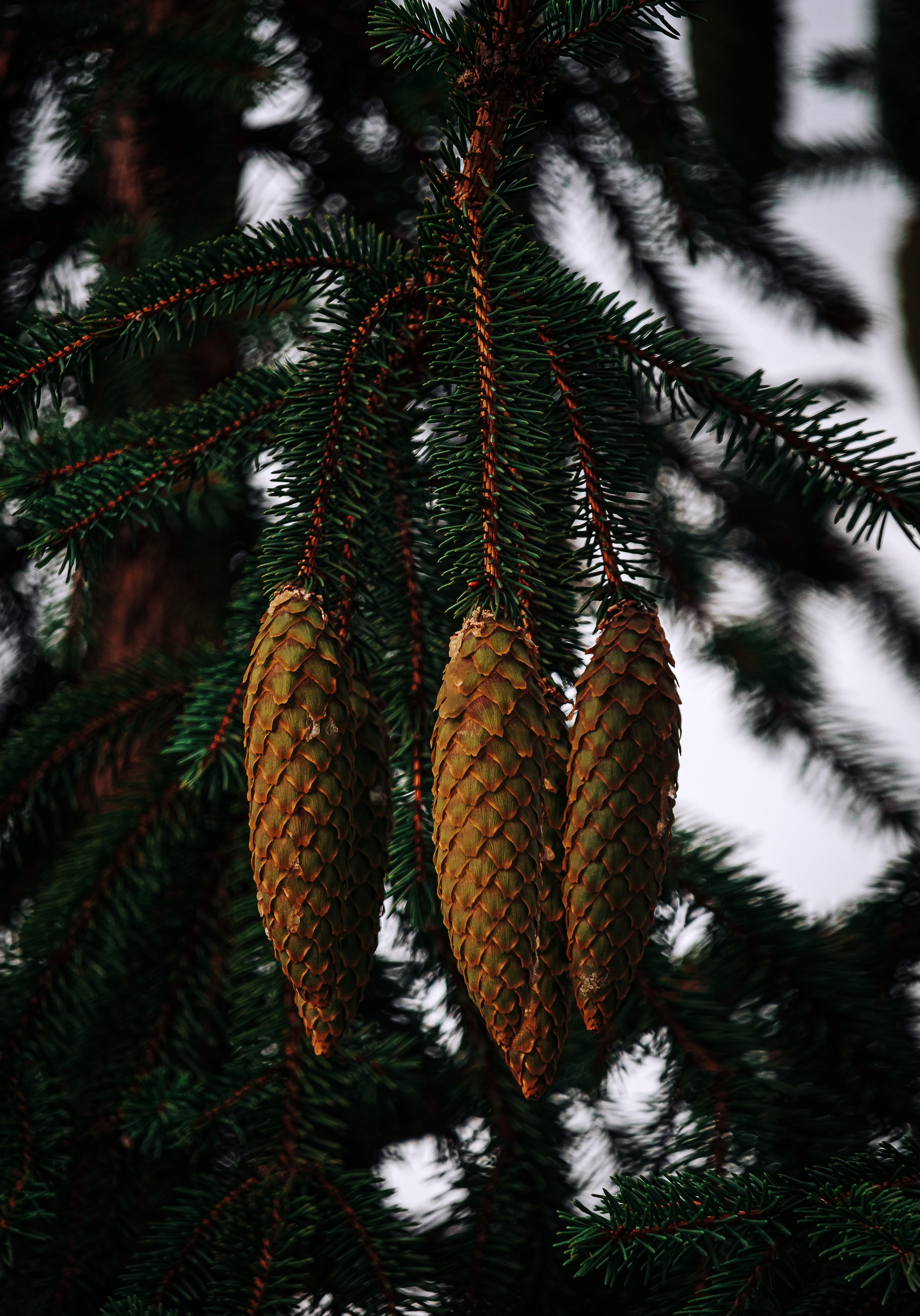 Жизнь. Фотограф Алматы | Весь мир — Никита Колодин