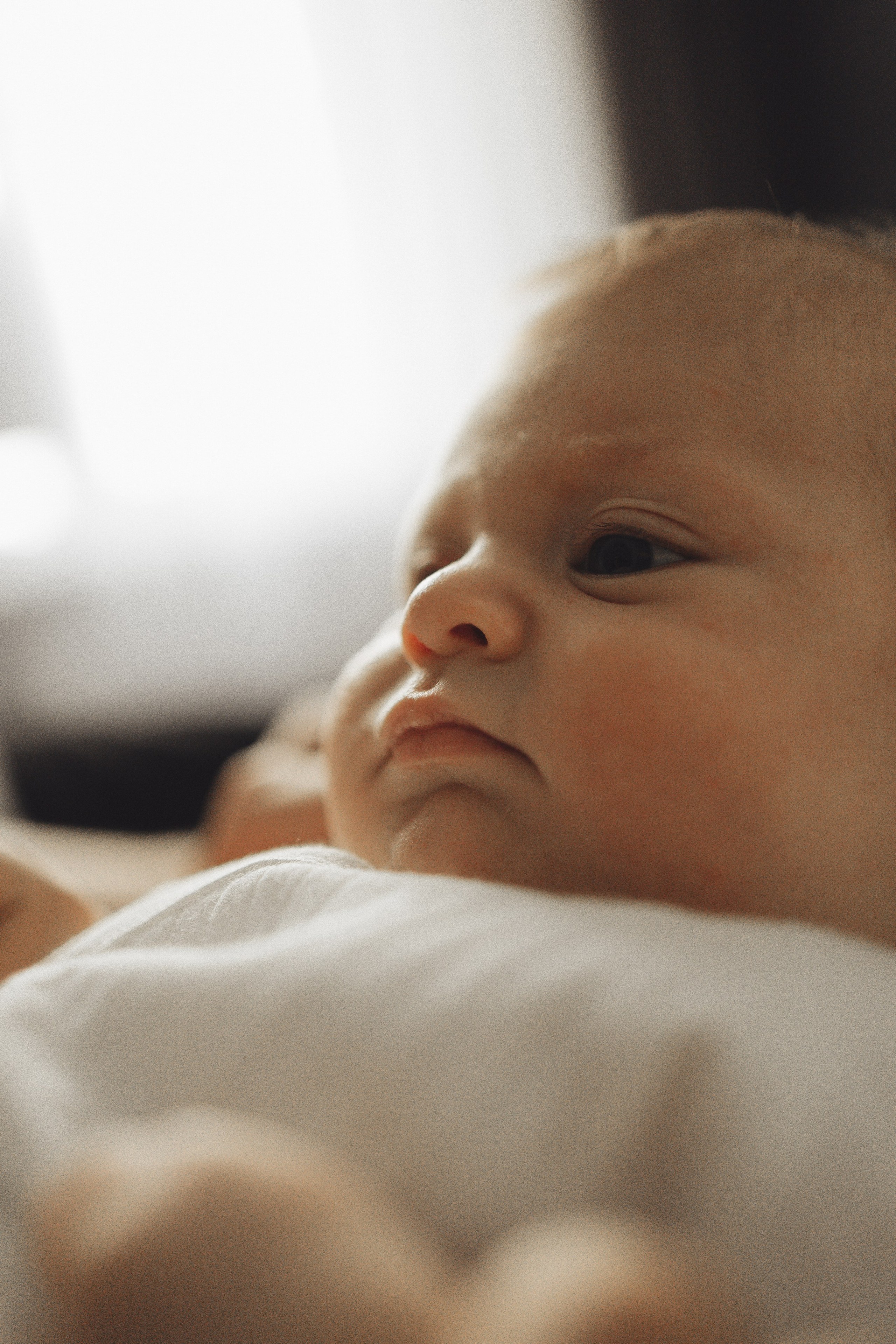 Домашняя история. Семейный и детский фотограф, таганрог, ростов-на-дону