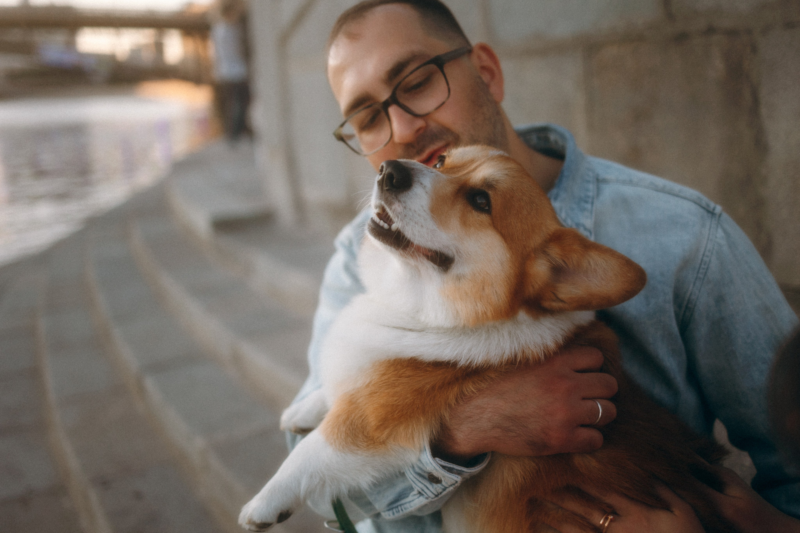 Момо, Люда и Эд. Фотограф анималист Анастасия Пикей
