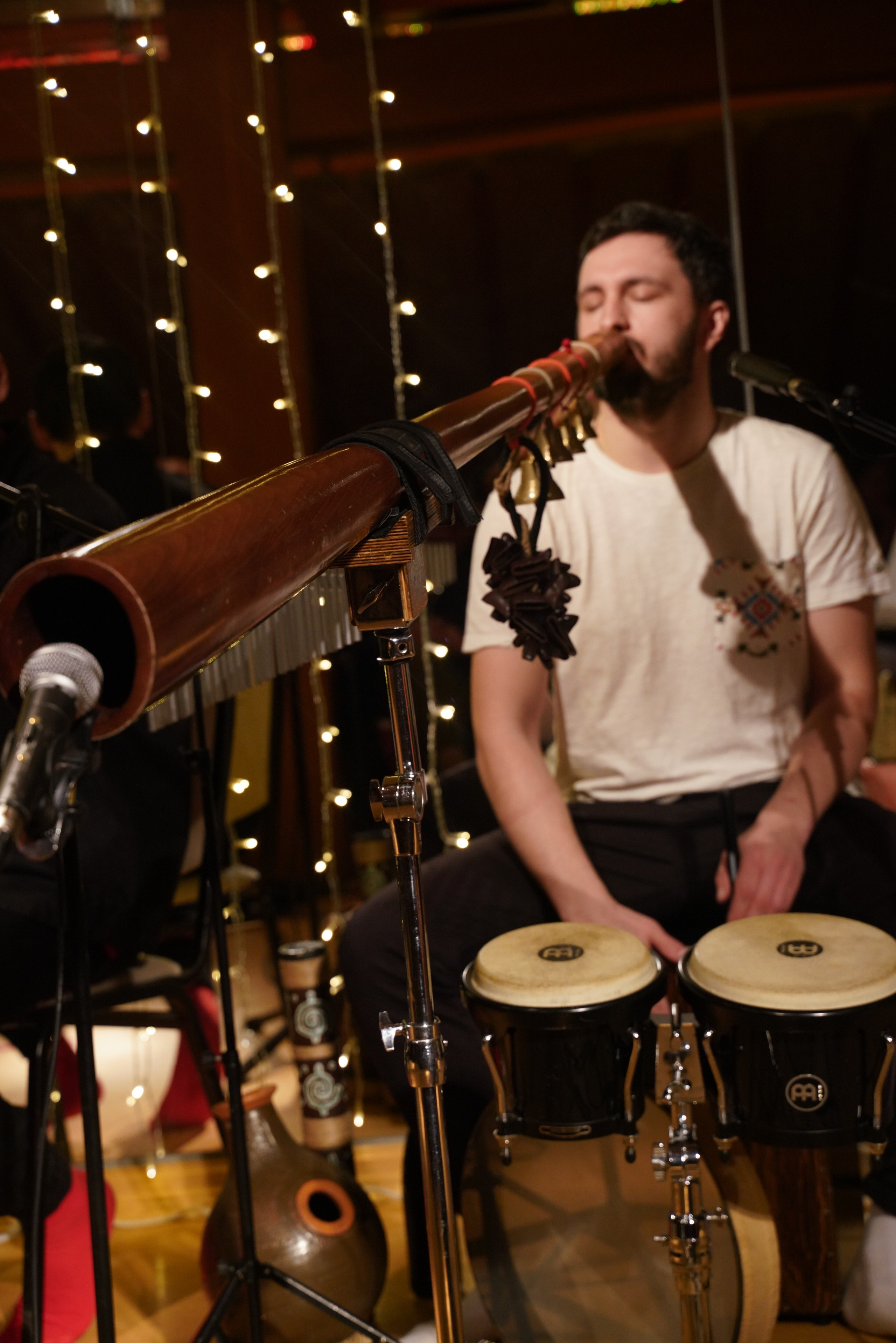 Концерт Forest jam project. Портретный и репортажный фотограф Наталья Горобец