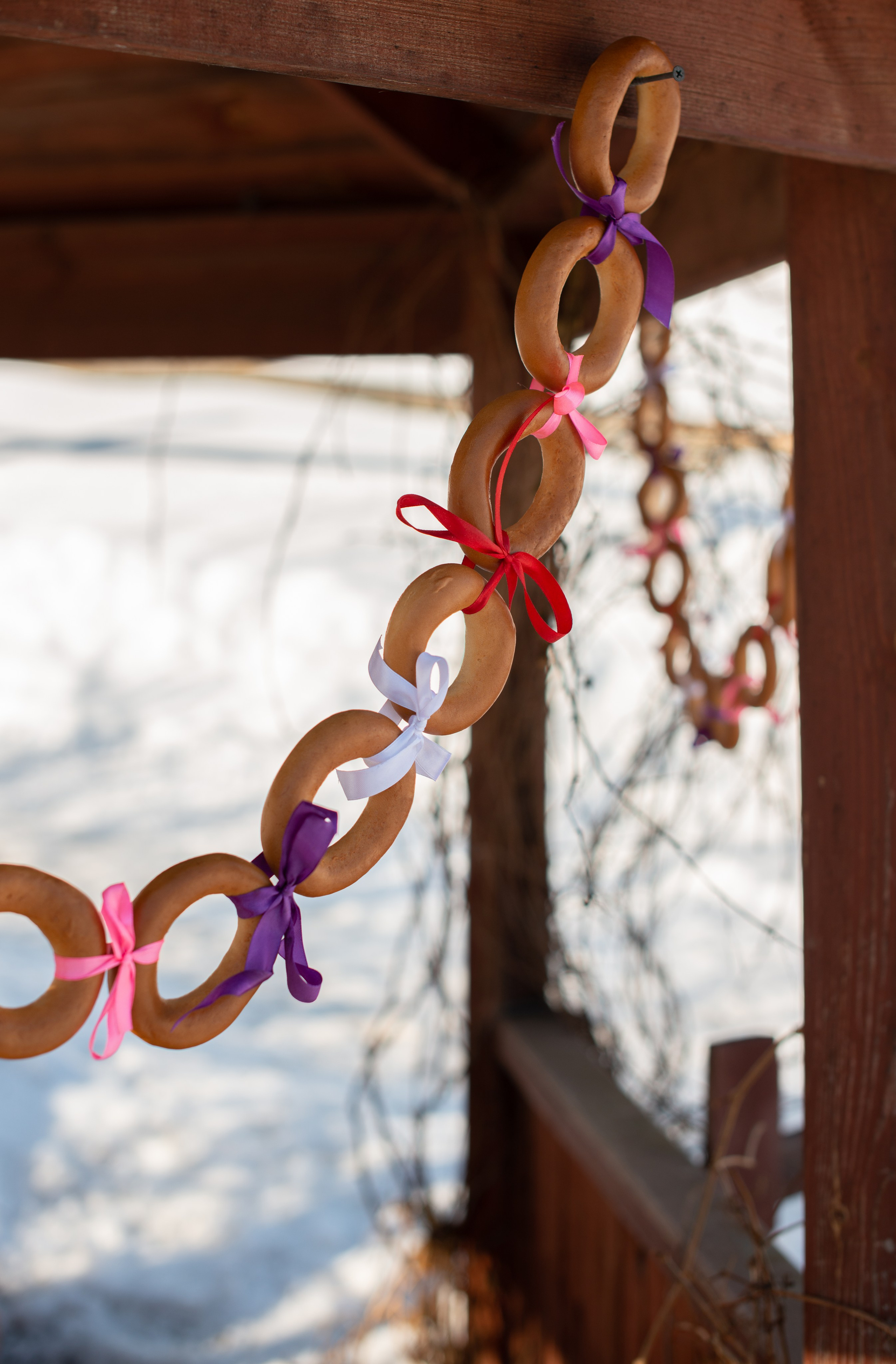 Масленичные гулянья в Боковке. Конный фотограф в Саратове Юлия Иванова