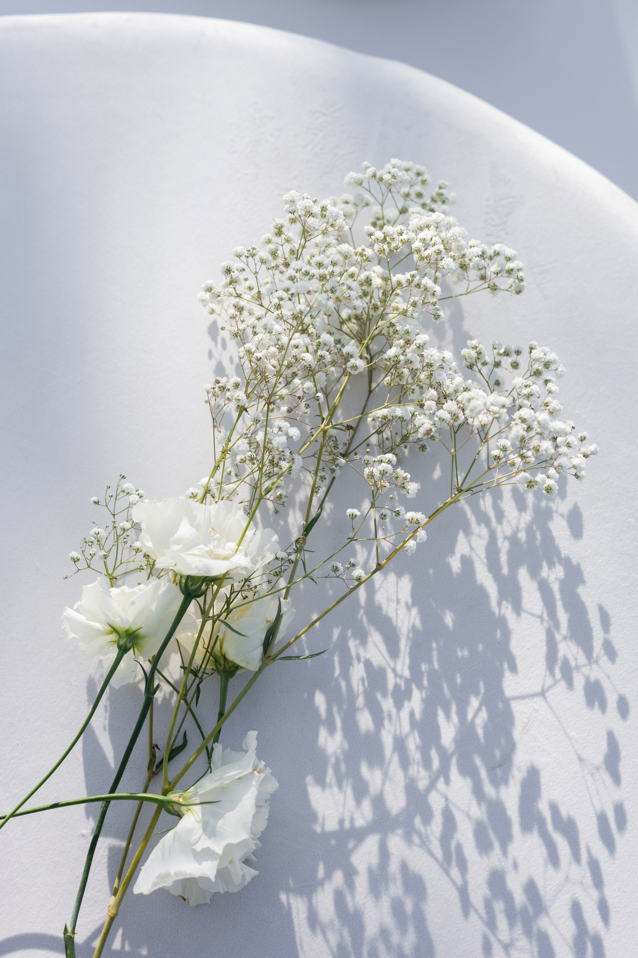 Дима и Кристина. Свадебный и семейный фотограф в Ростове-на-Дону Анастасия Арестова