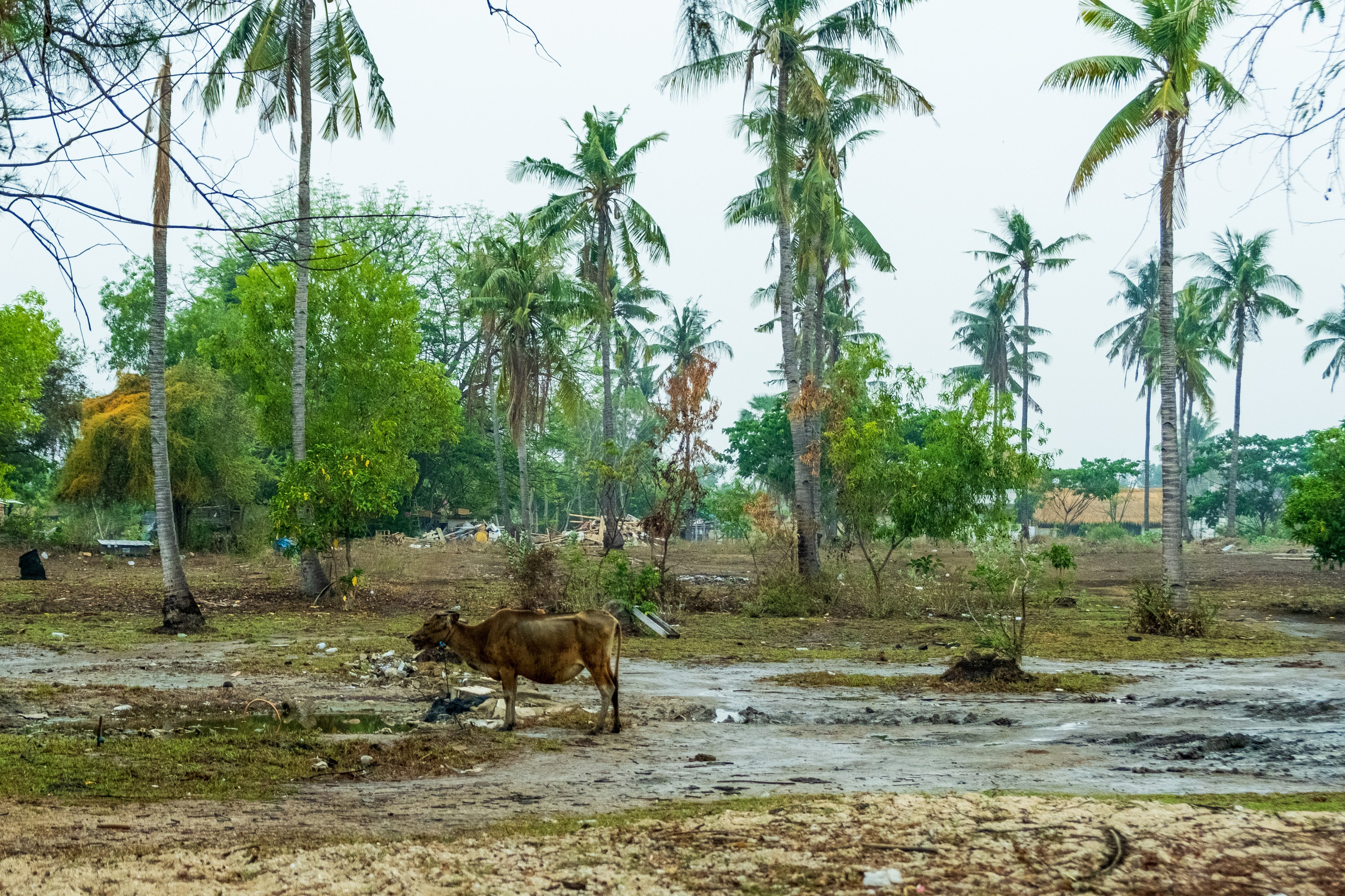 Остров Гили Эйр. Фотографии из путешествий