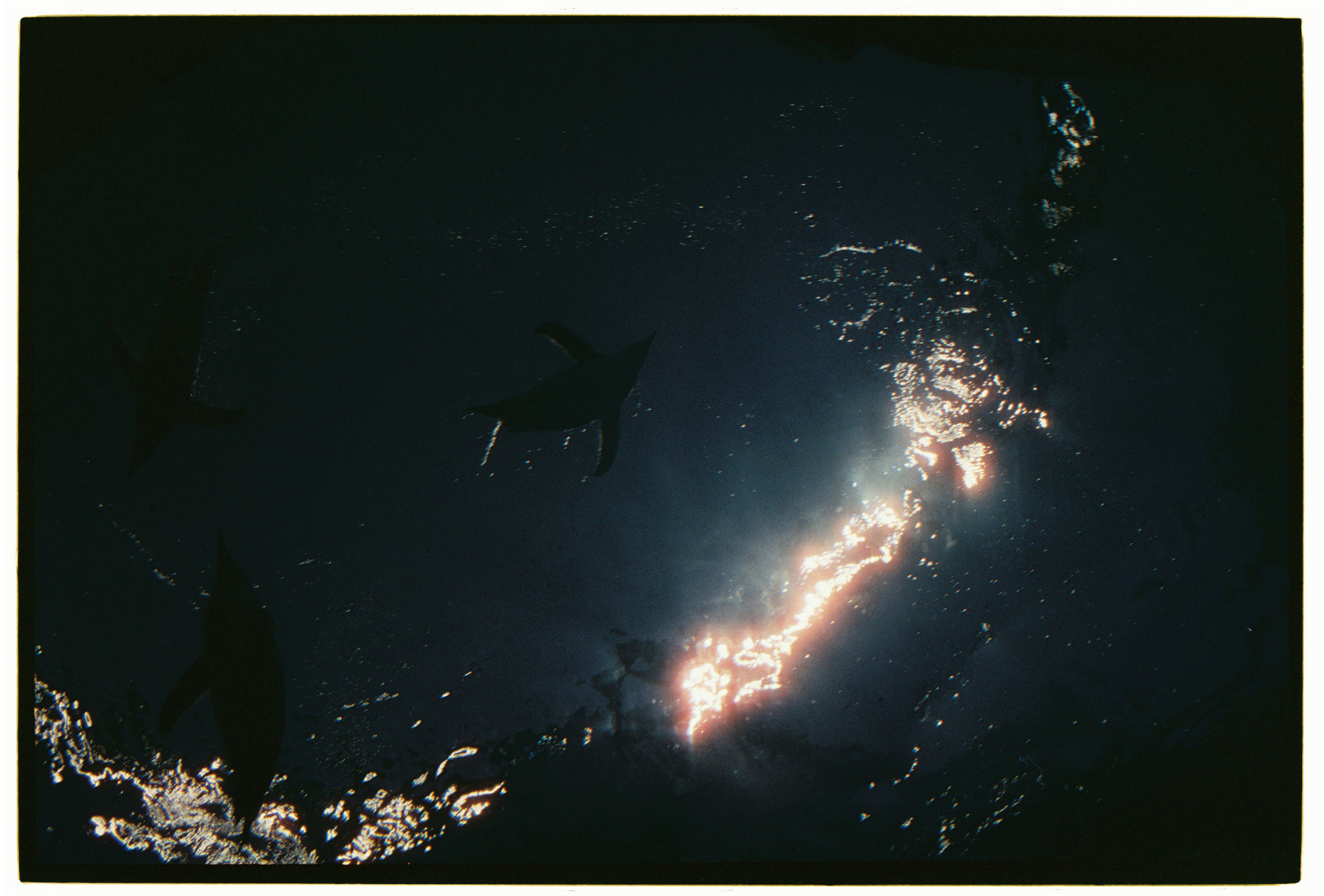 UAE. ANNA — PHOTOGRAPHER