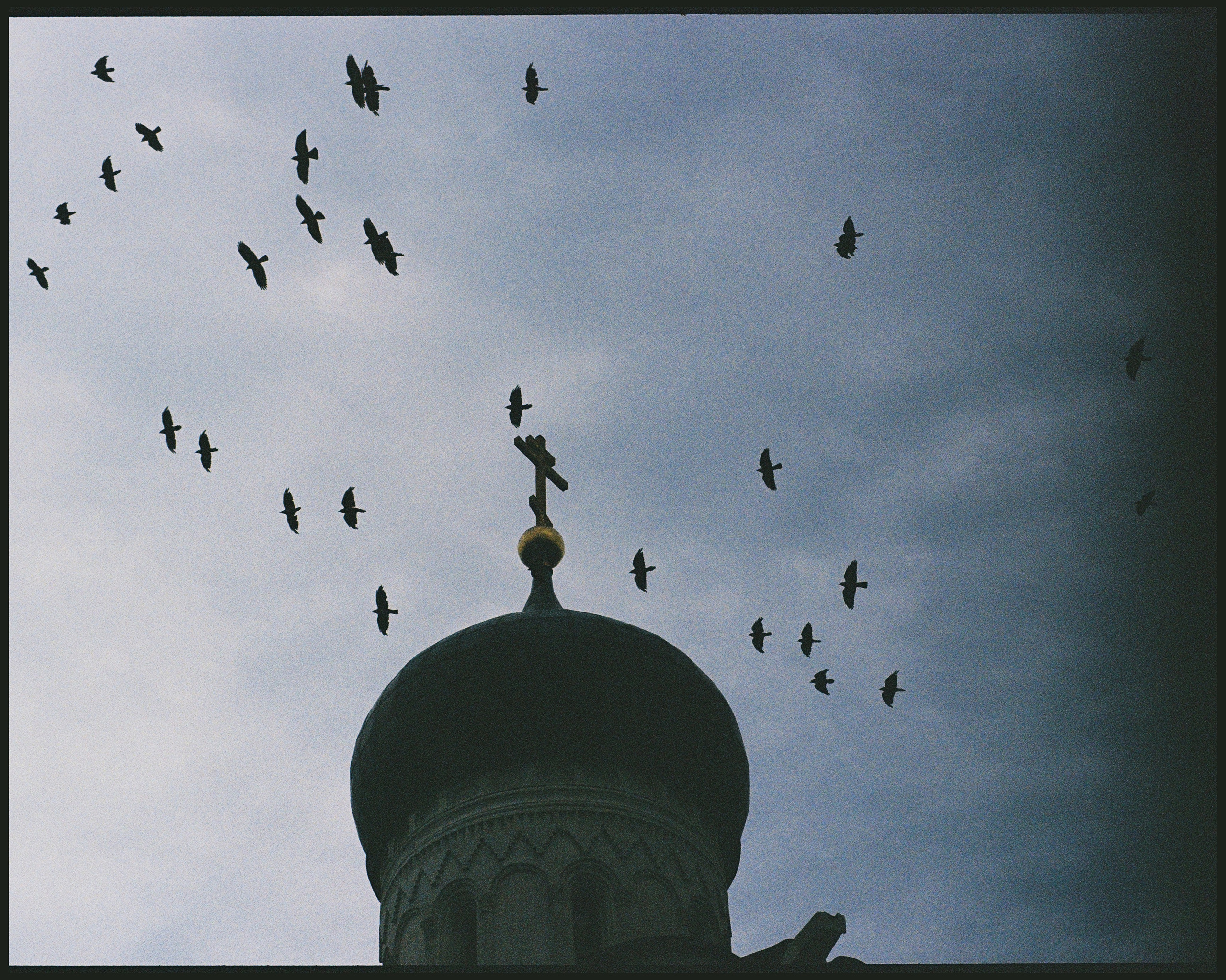 Це́рковь Покрова́ на Не́рли́. ANNA — PHOTOGRAPHER