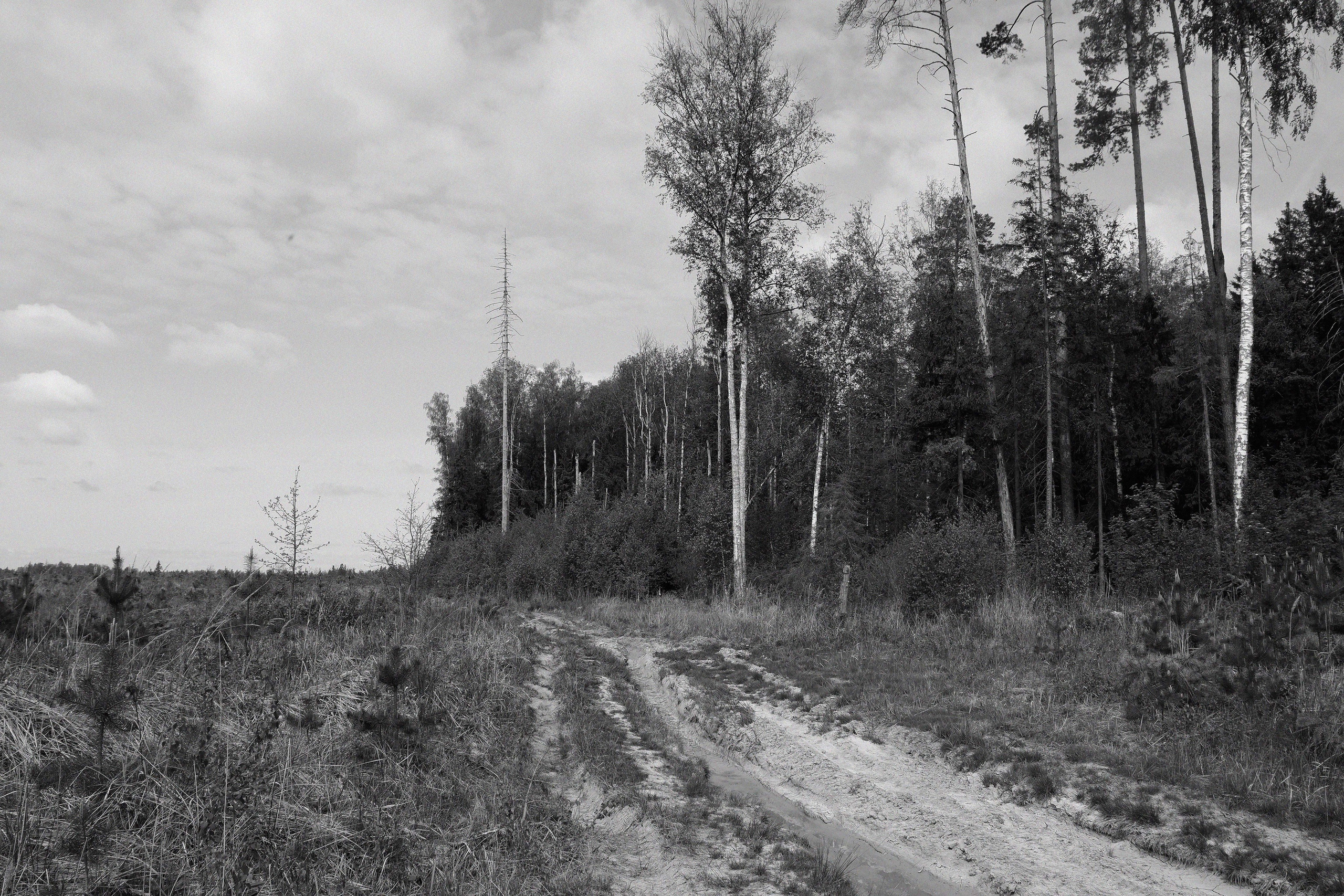 ANNA — PHOTOGRAPHER