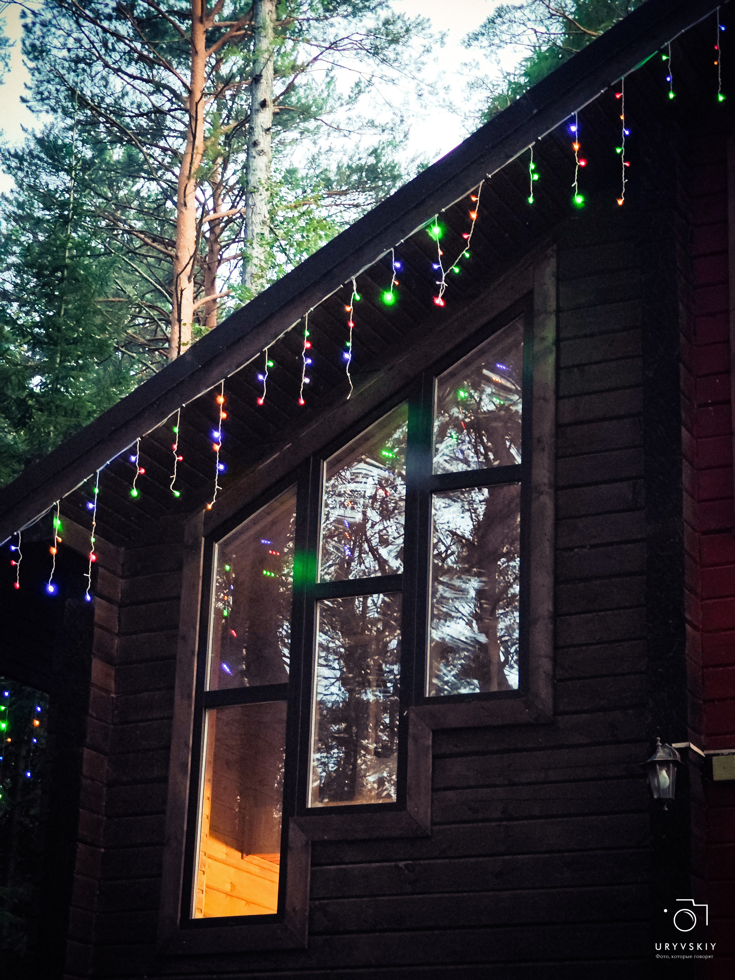 Командор, Хороший. День торговли 2025. Игорь Урывский. Фотограф Красноярск