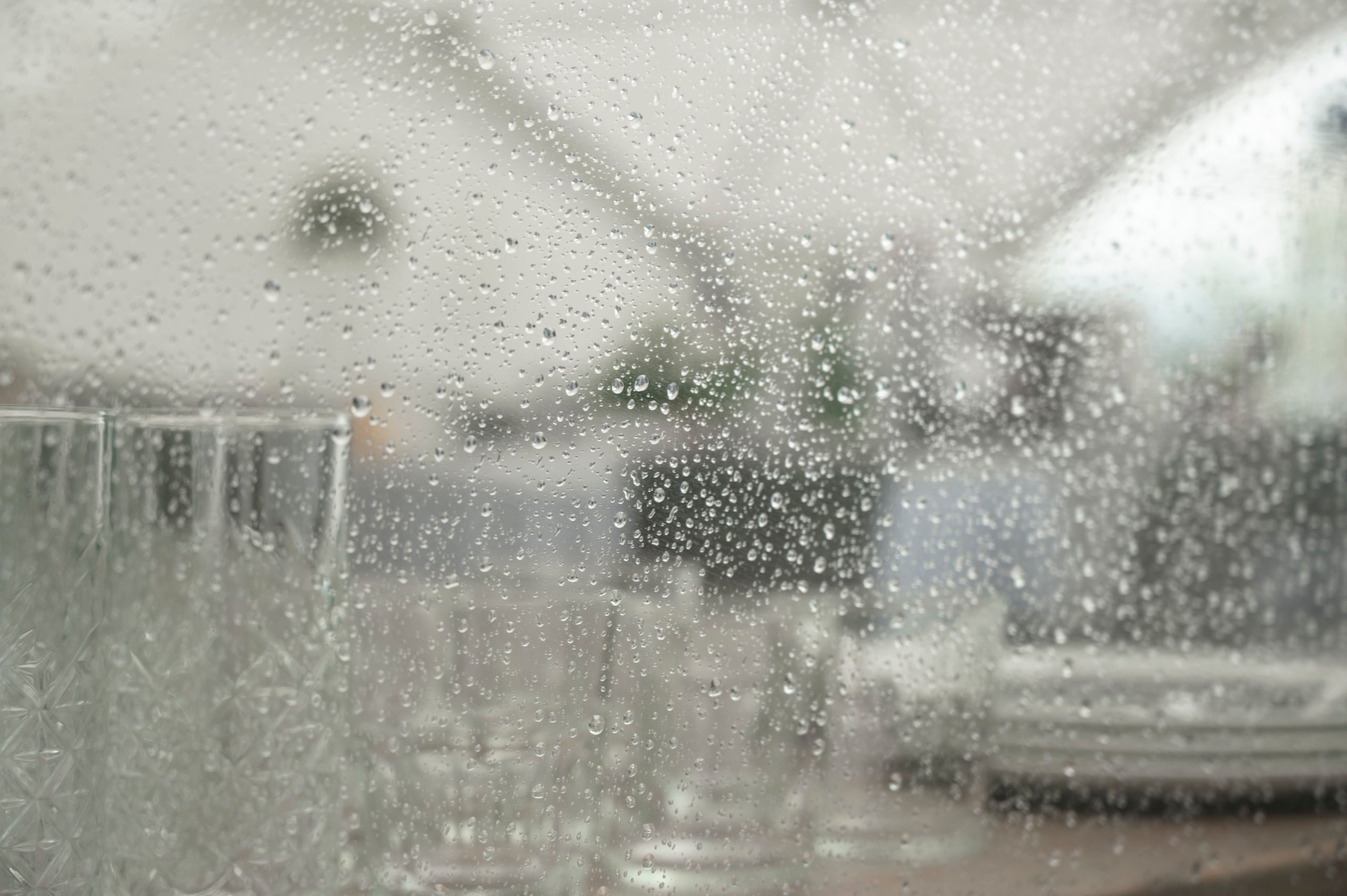 Банкетный зал «Плакучая Ива». Свадебный фотограф Татьяна Сорока Москва и МО