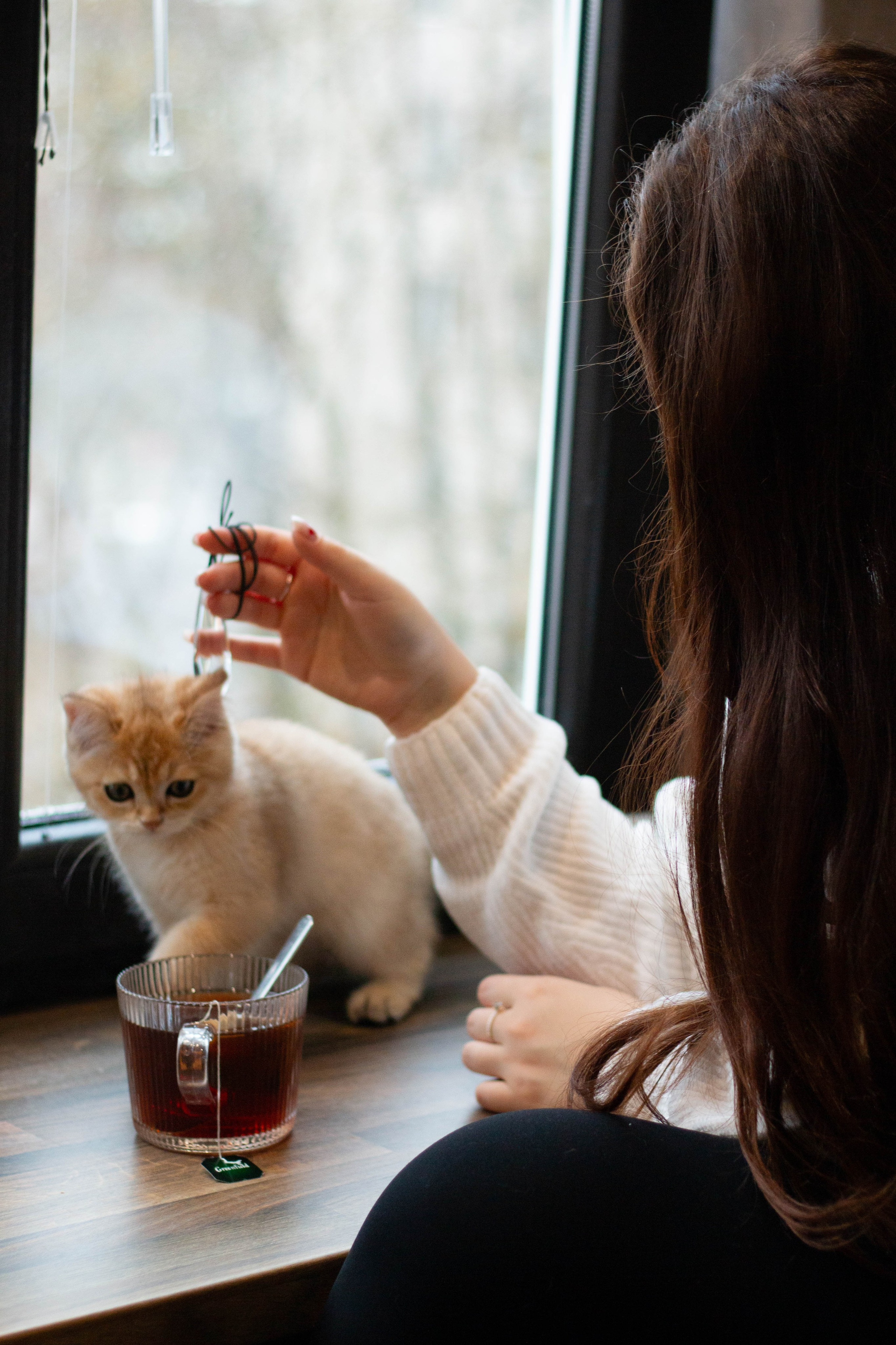 MILANA & RUFUS. Бережно сохраняю ваши чувства и истории на своих фотографиях