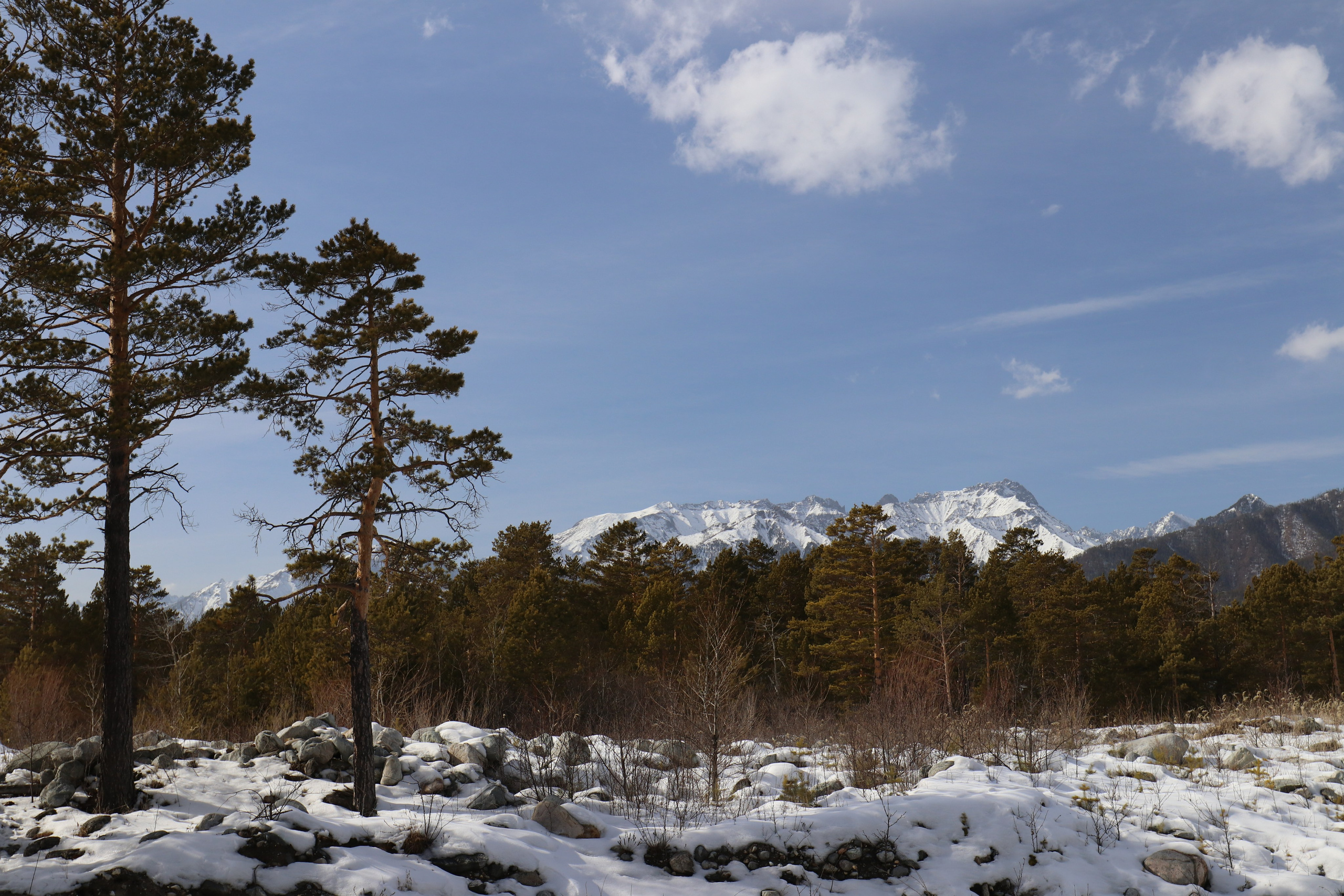 Аршан. Март 2023. Путешественник-фотограф из Санкт-Петербурга Татьяна Свистулина