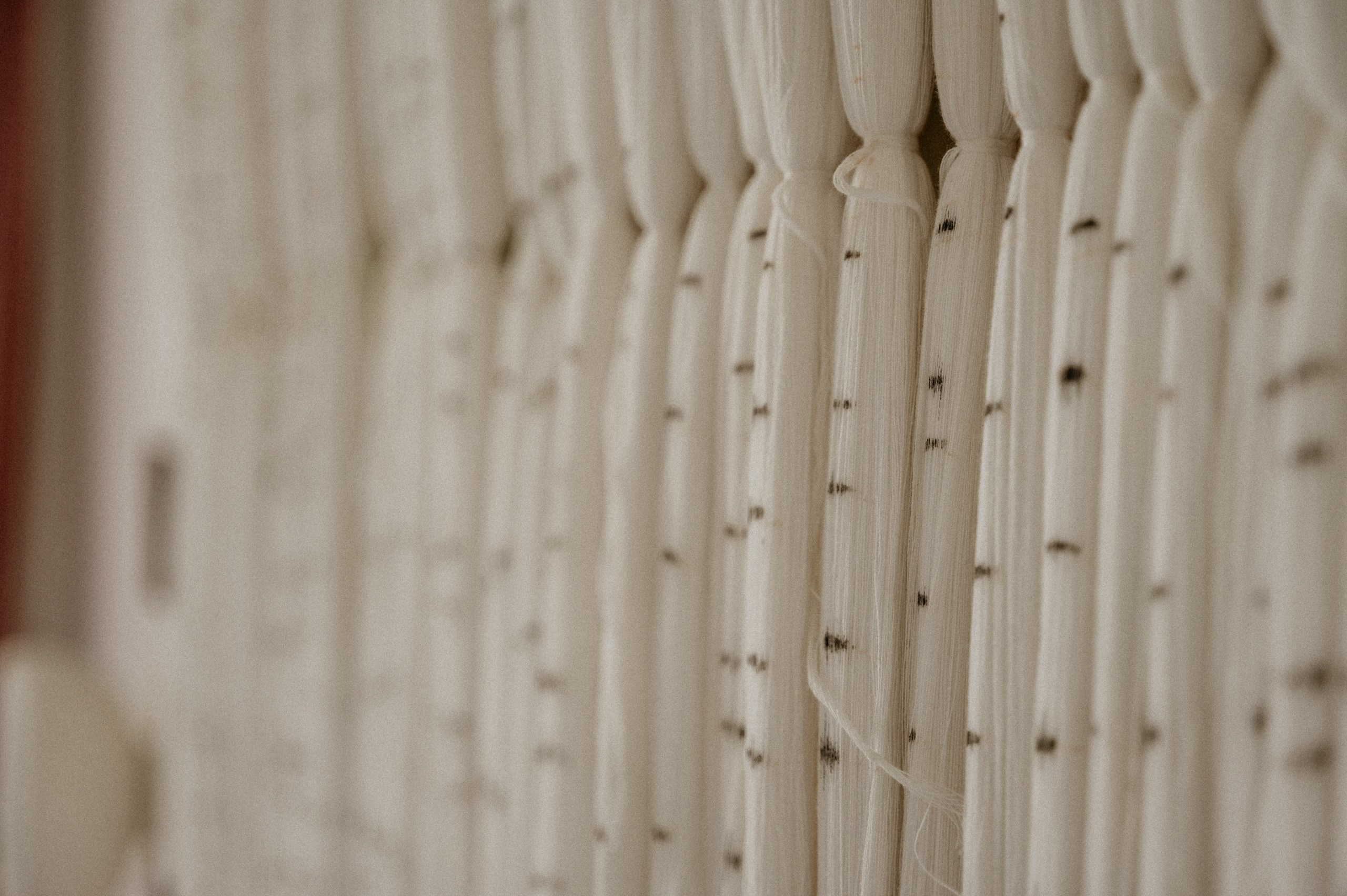 Dmitrii + Juli. Фотограф/видеомейкер в Минске, Москве, Витебске, видеосьемка