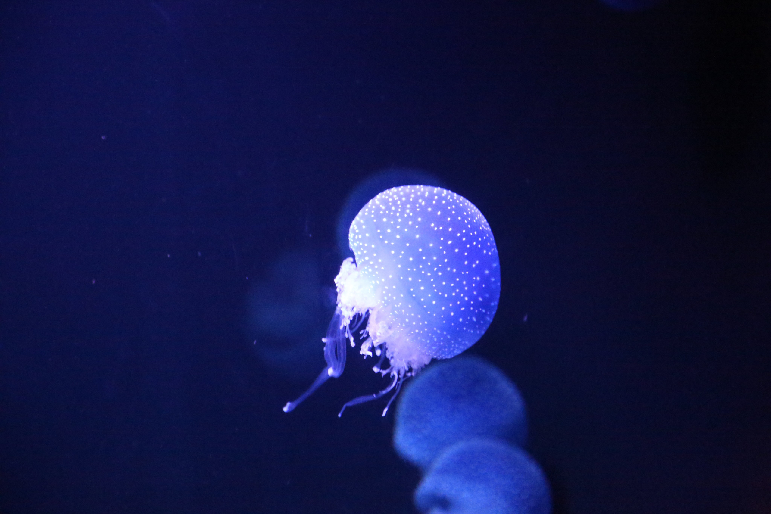 Lisbon, Portugal. Andrey Filippov Photographer