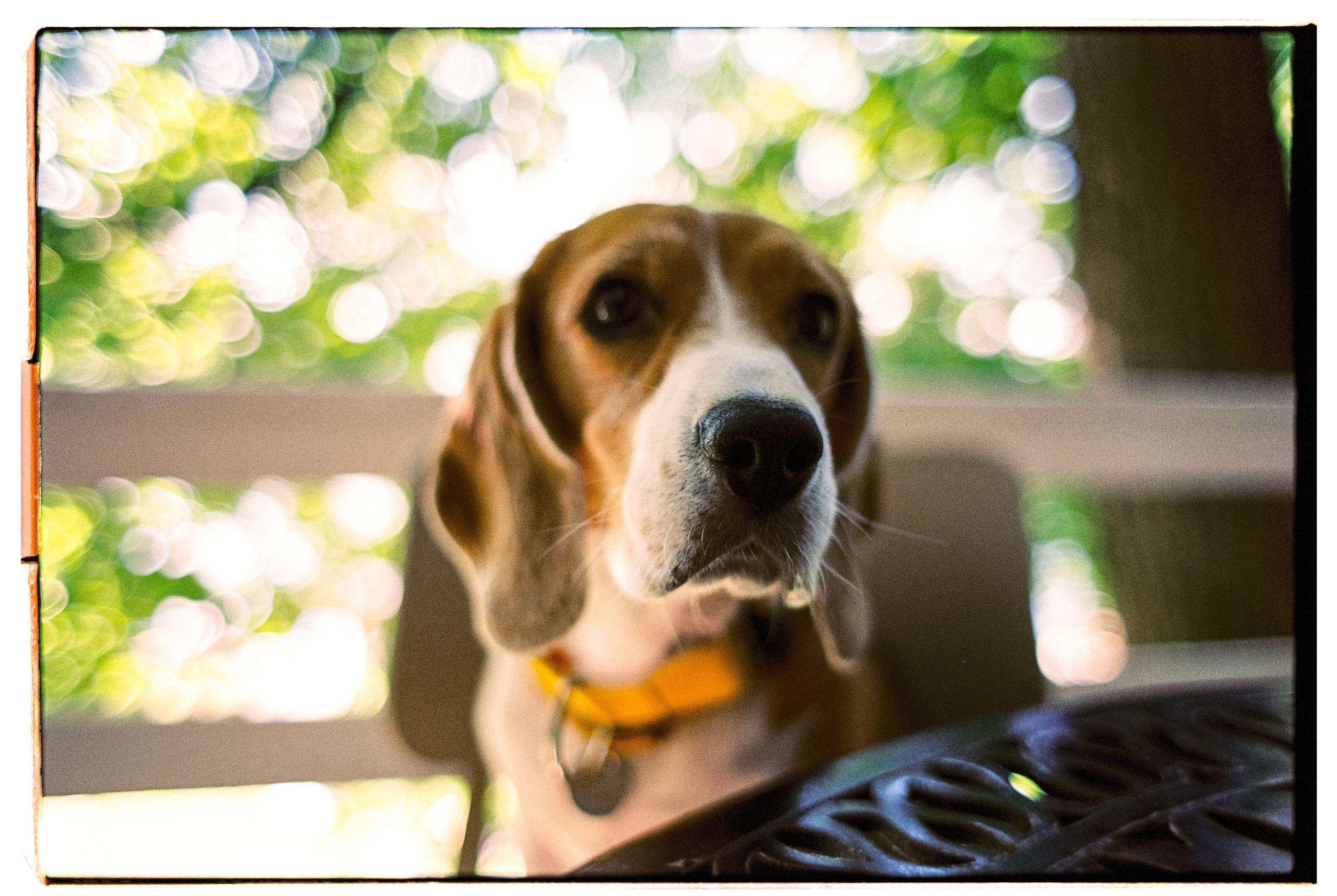 Great time with my family. Никита Демидов. Nikita Demidov