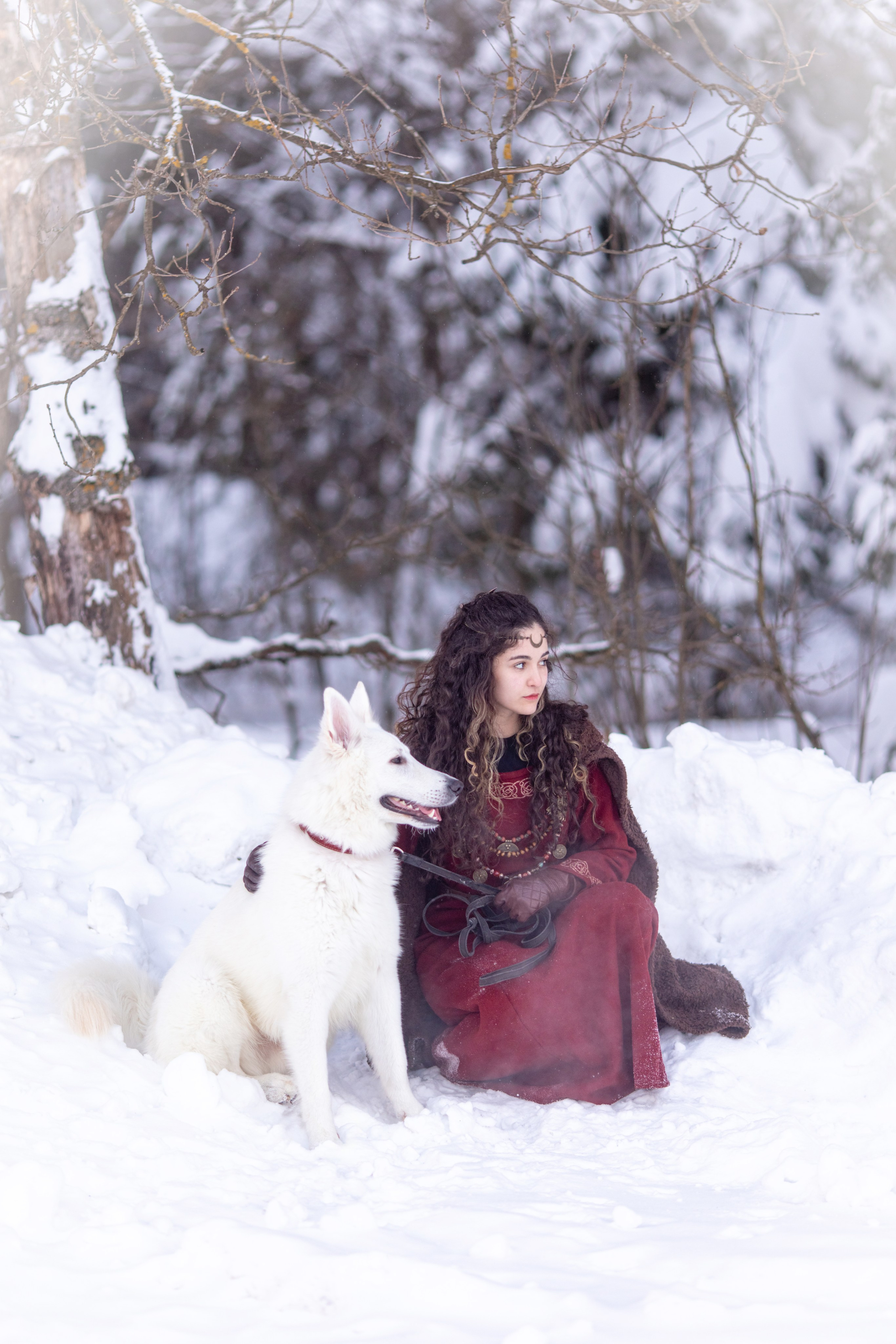 Фотосессия с лошадью в стиле викингов. Фотосессии с лошадьми